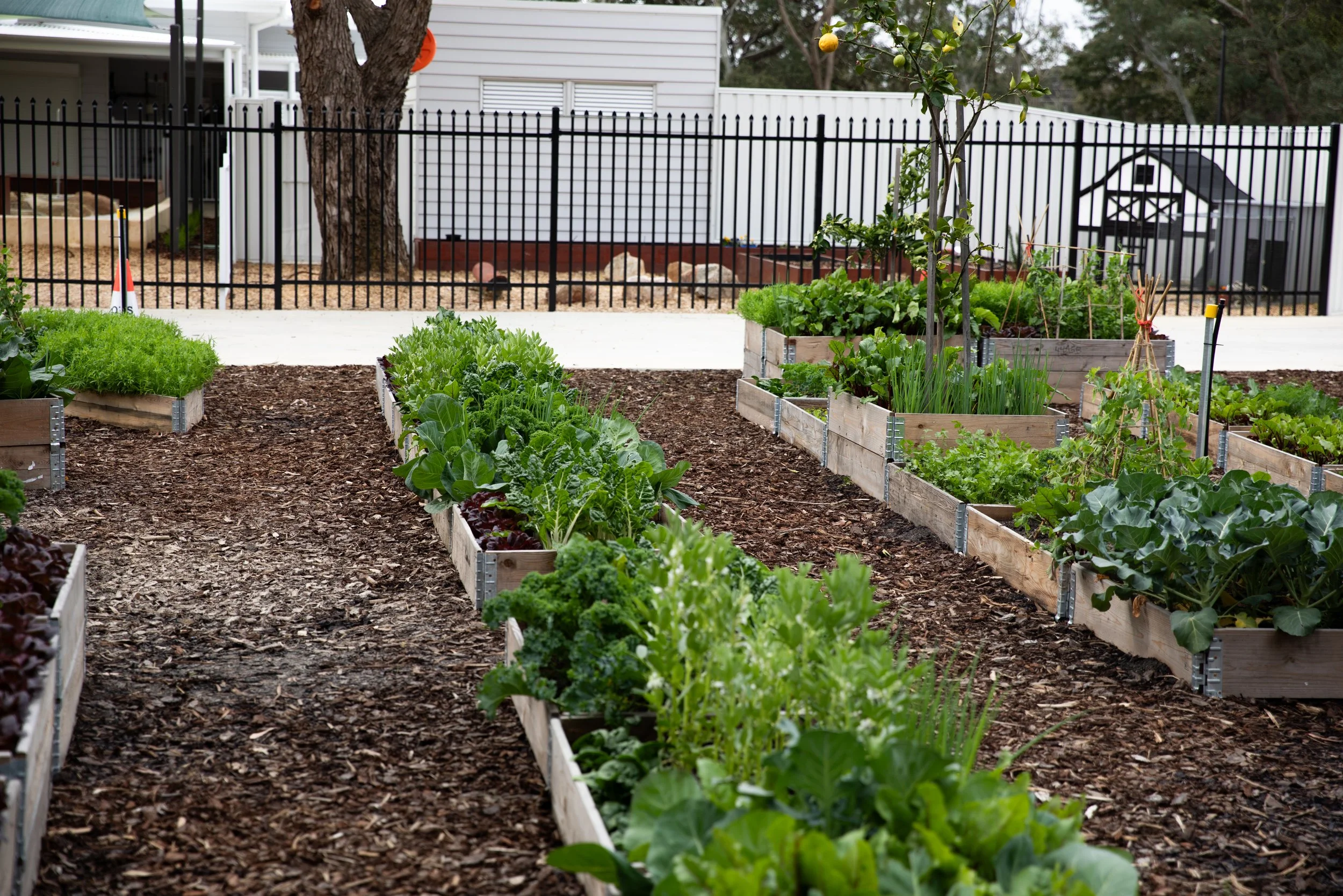 LittleFarm-Sept4-ByCBC-123.jpg