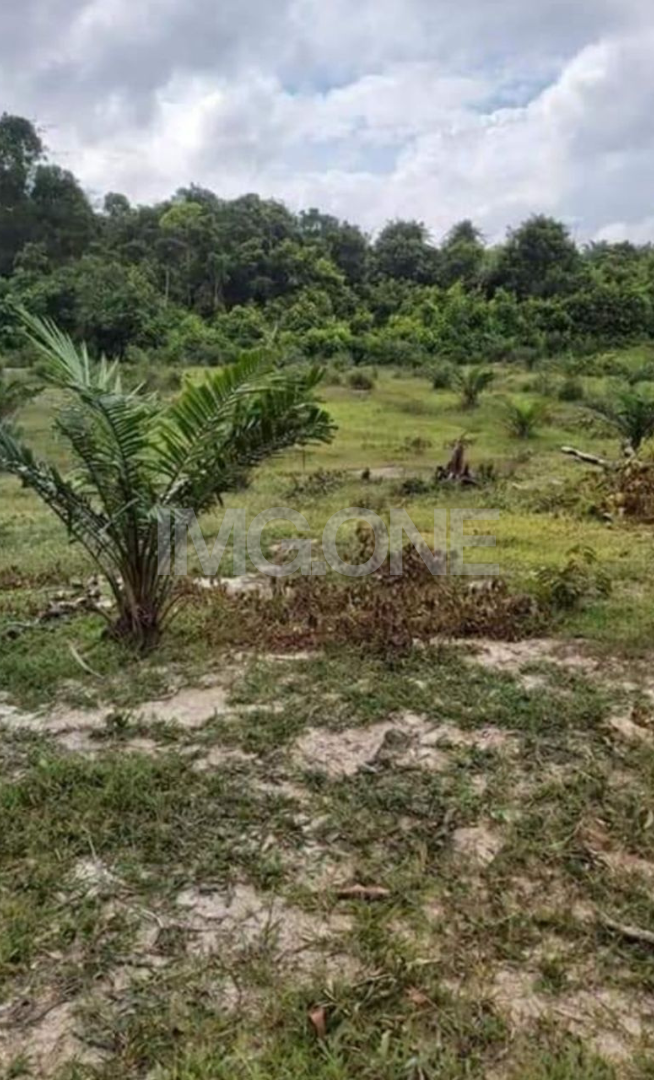 Agriculture Land at Kg Tenglu, Mersing