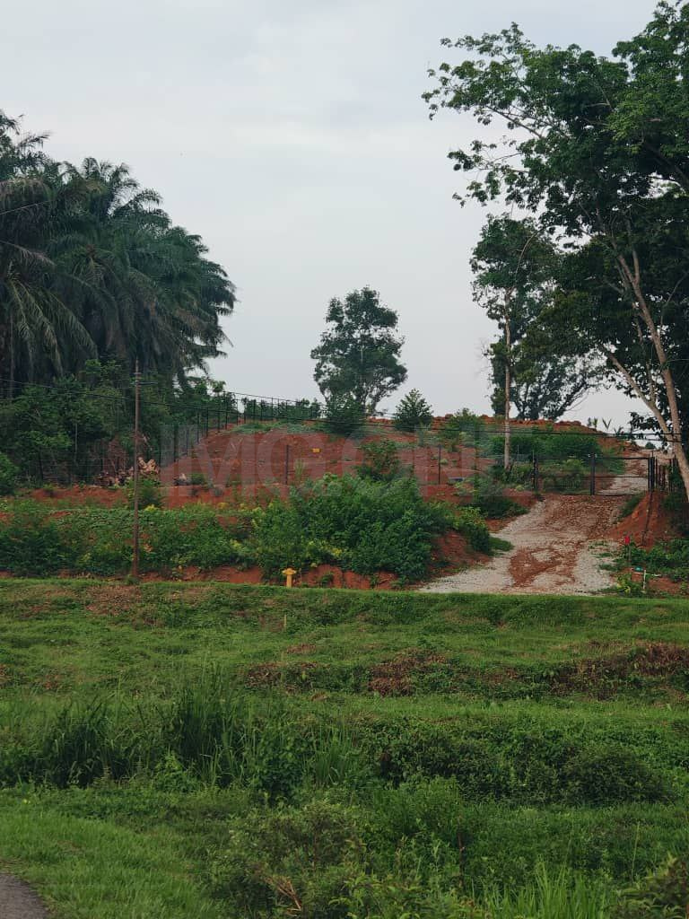 Agriculture Land at Ayer Pa'abas, Alor Gajah