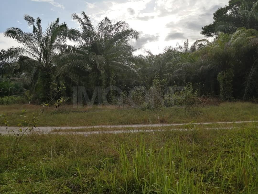 Agriculture Land at Matang Kerian, Perak