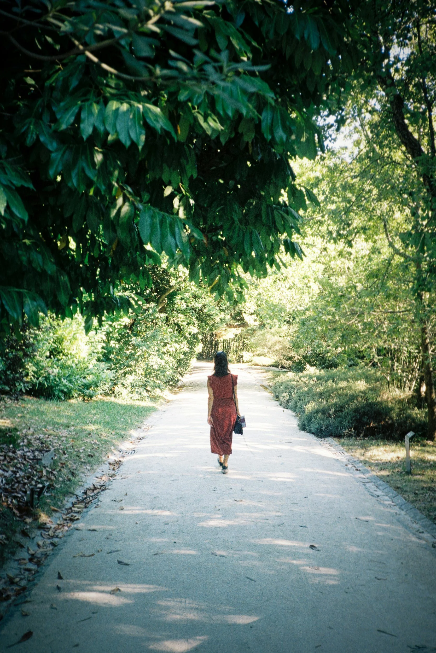 Woman walking outside on a path through a park