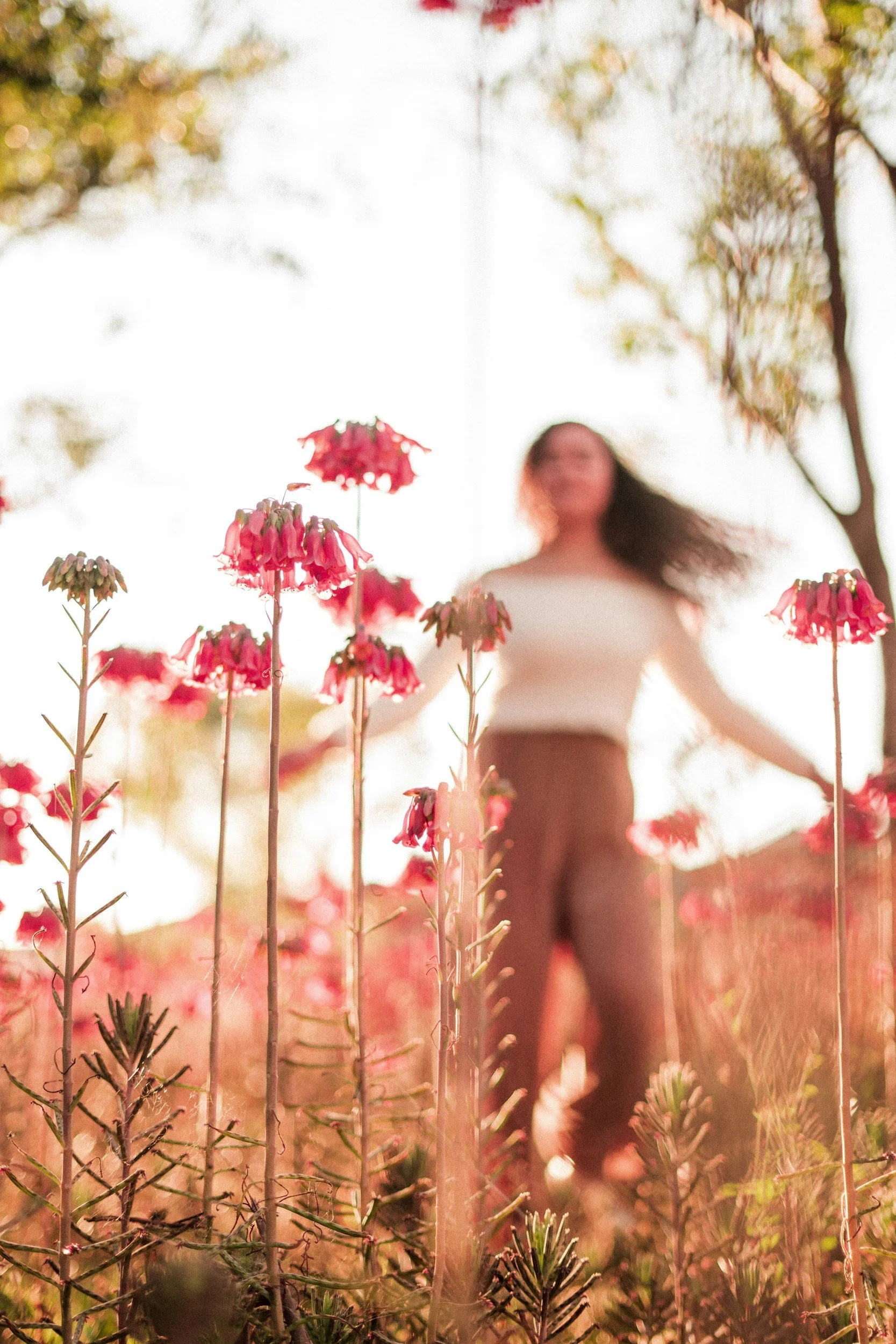 A woman standing in a field of flowers