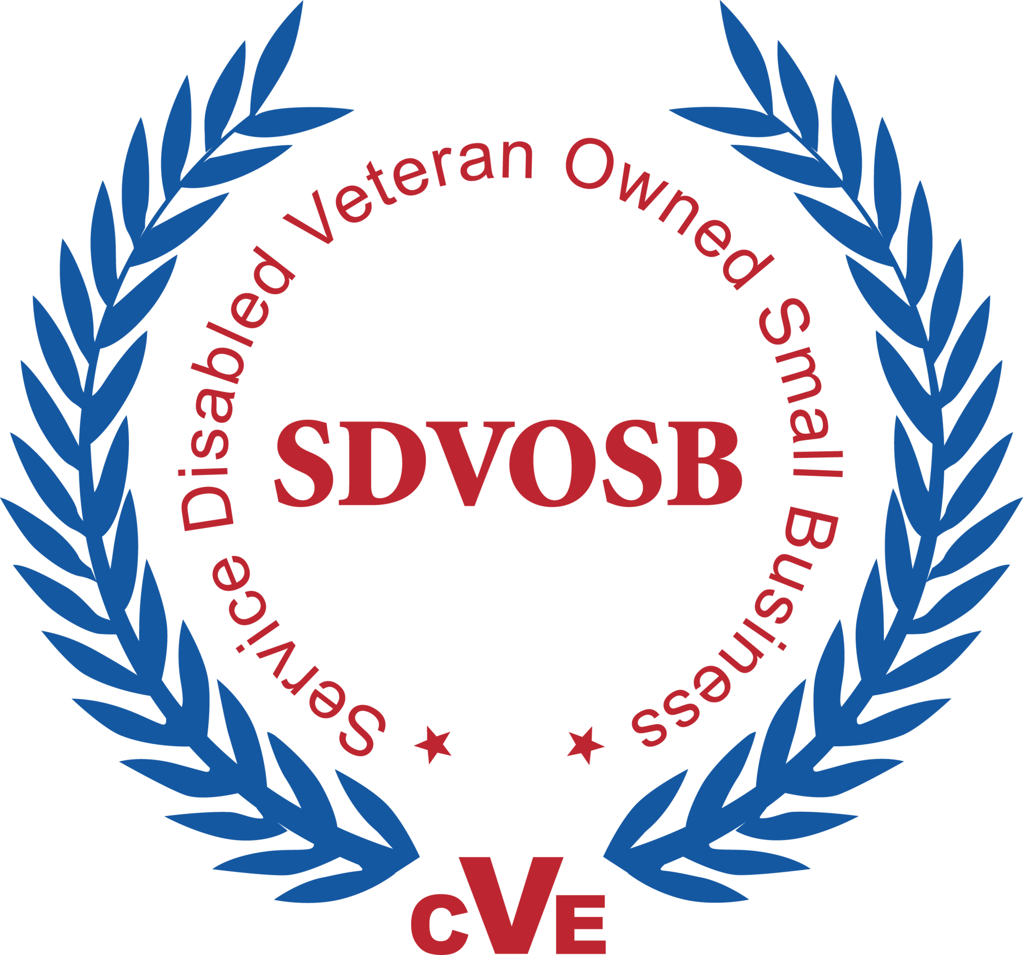 SDVOSB CVE Verified