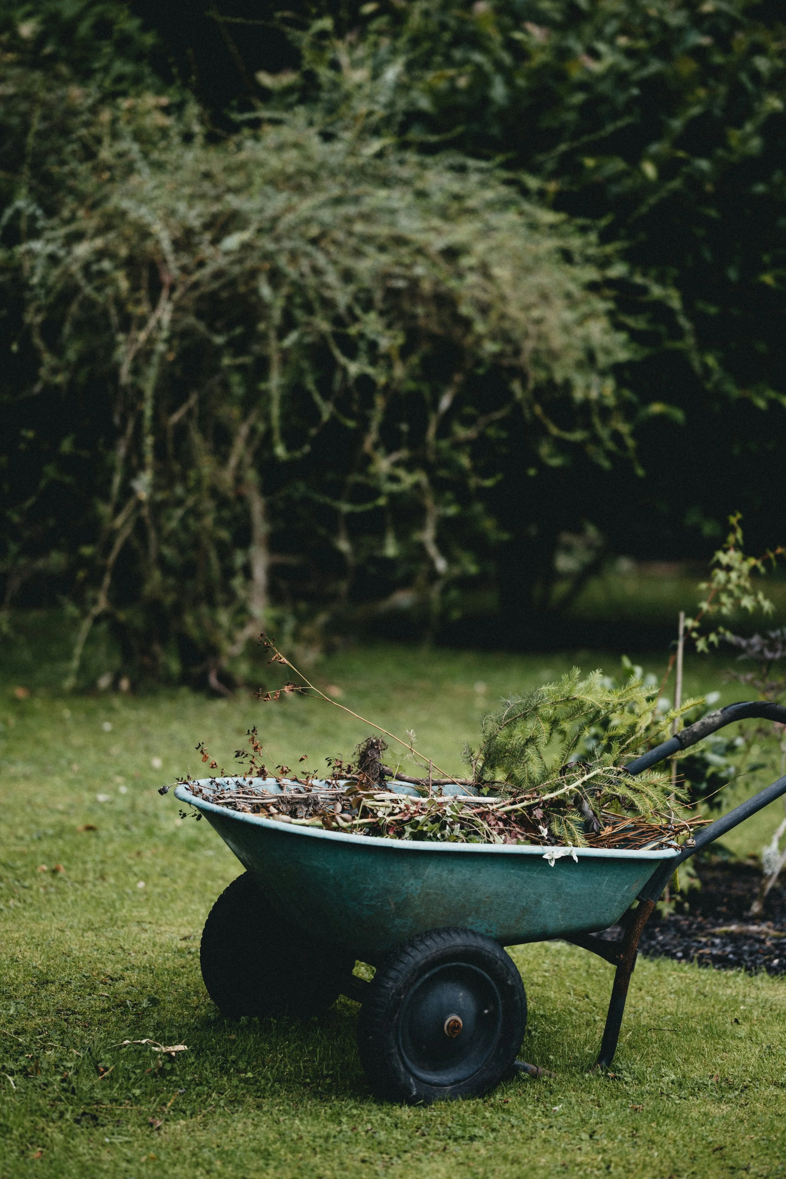 Regular Gardening