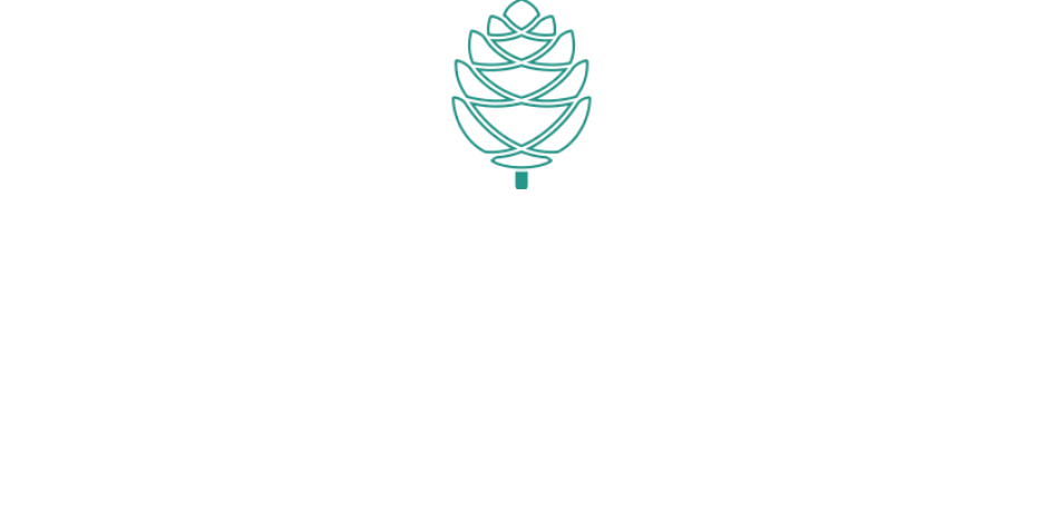 Spruce Club Garden Maintenance