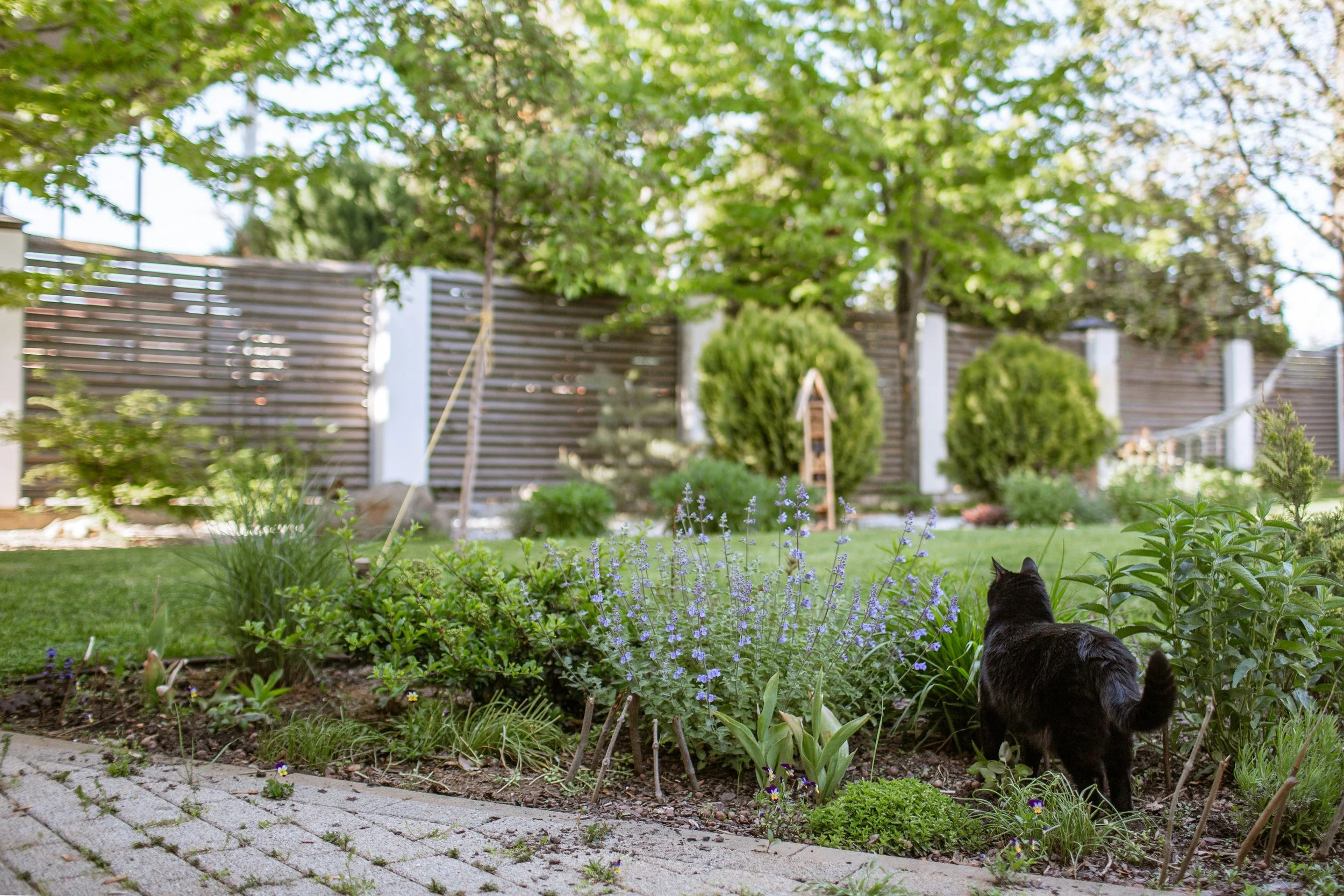 Rear Garden Reset