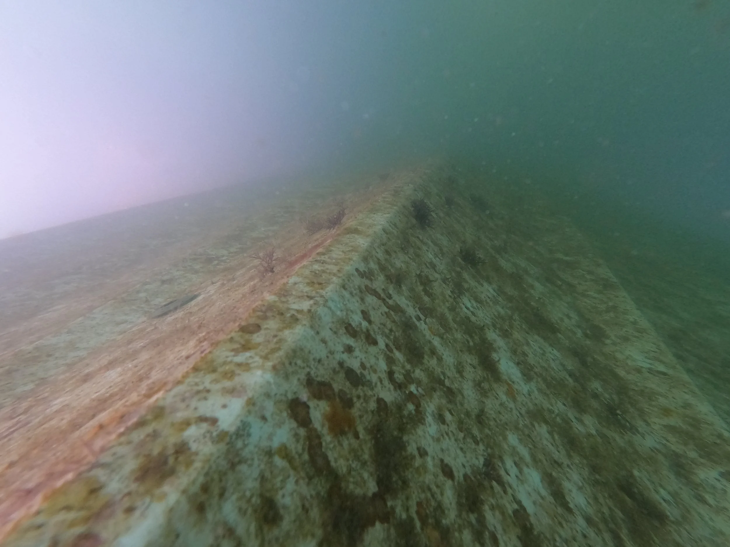 hull cleaning cairns underwater diver before