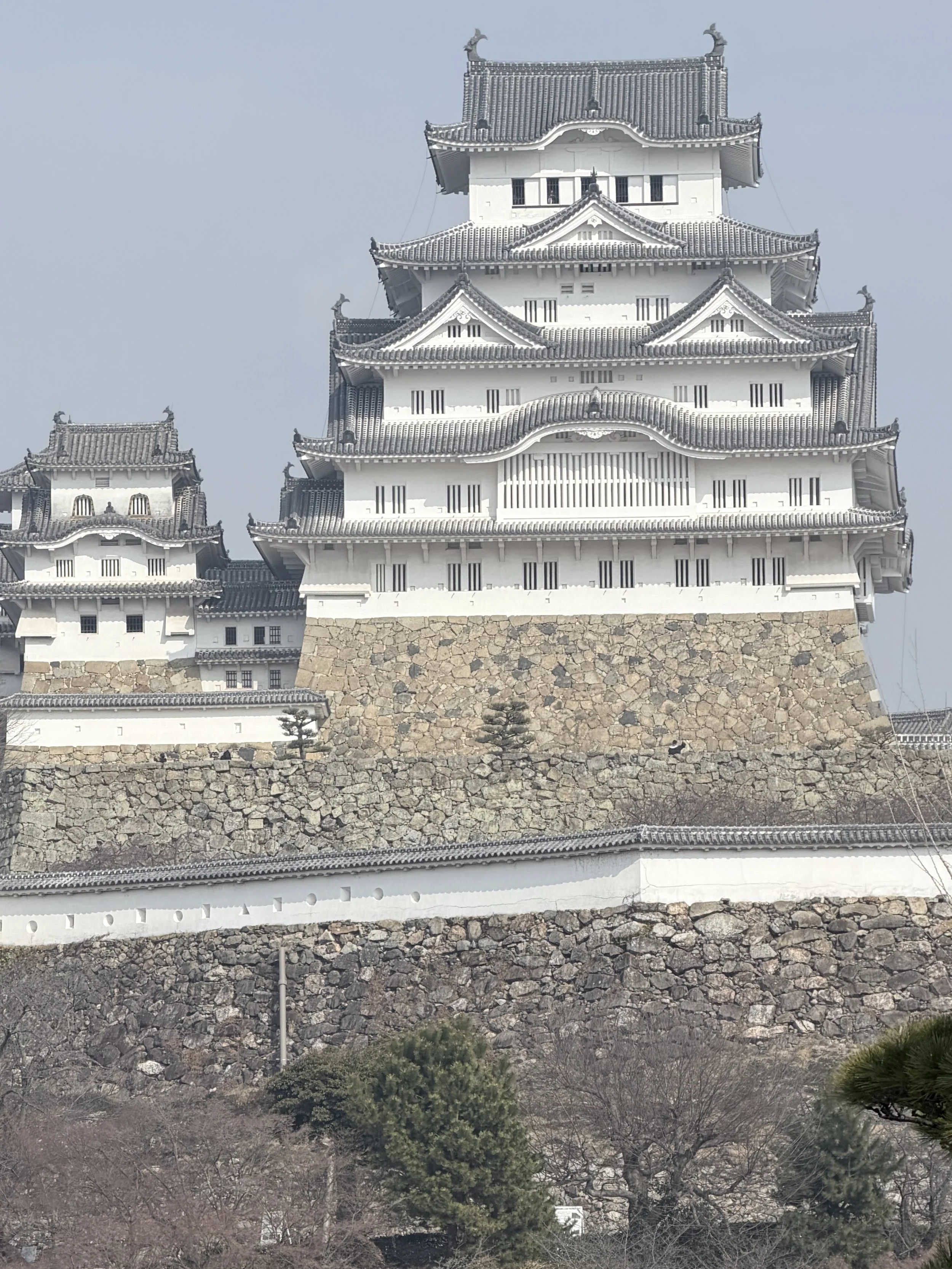 A traditional Japanese castle with white walls, dark gray tiled roofs, and multiple tiers, surrounded by a stone wall and trees.