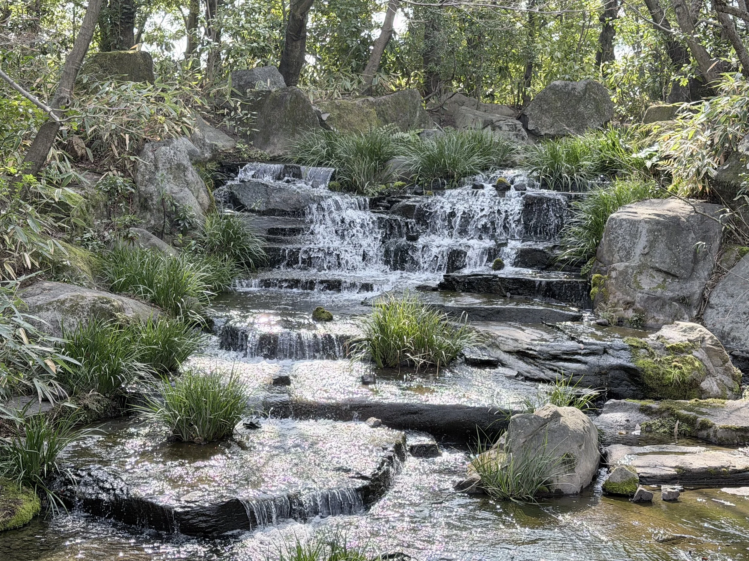 A small waterfall flowing over rocks surrounded by lush greenery, trees, and plants.