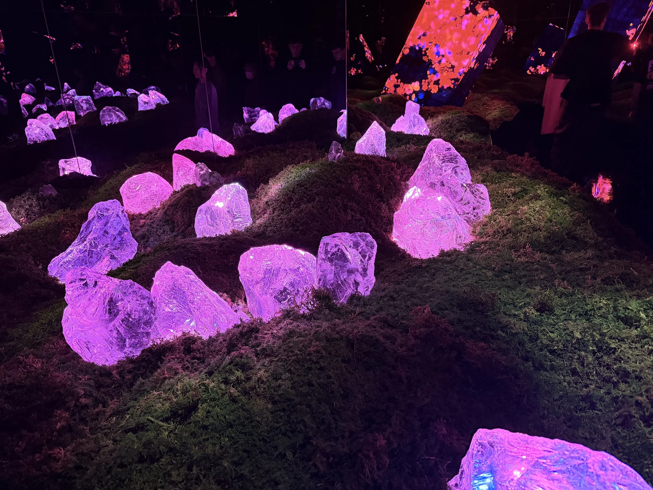 Illuminated rocks and moss on the ground, large illuminated cube with floral projection in the background, visitors viewing an art installation at night.