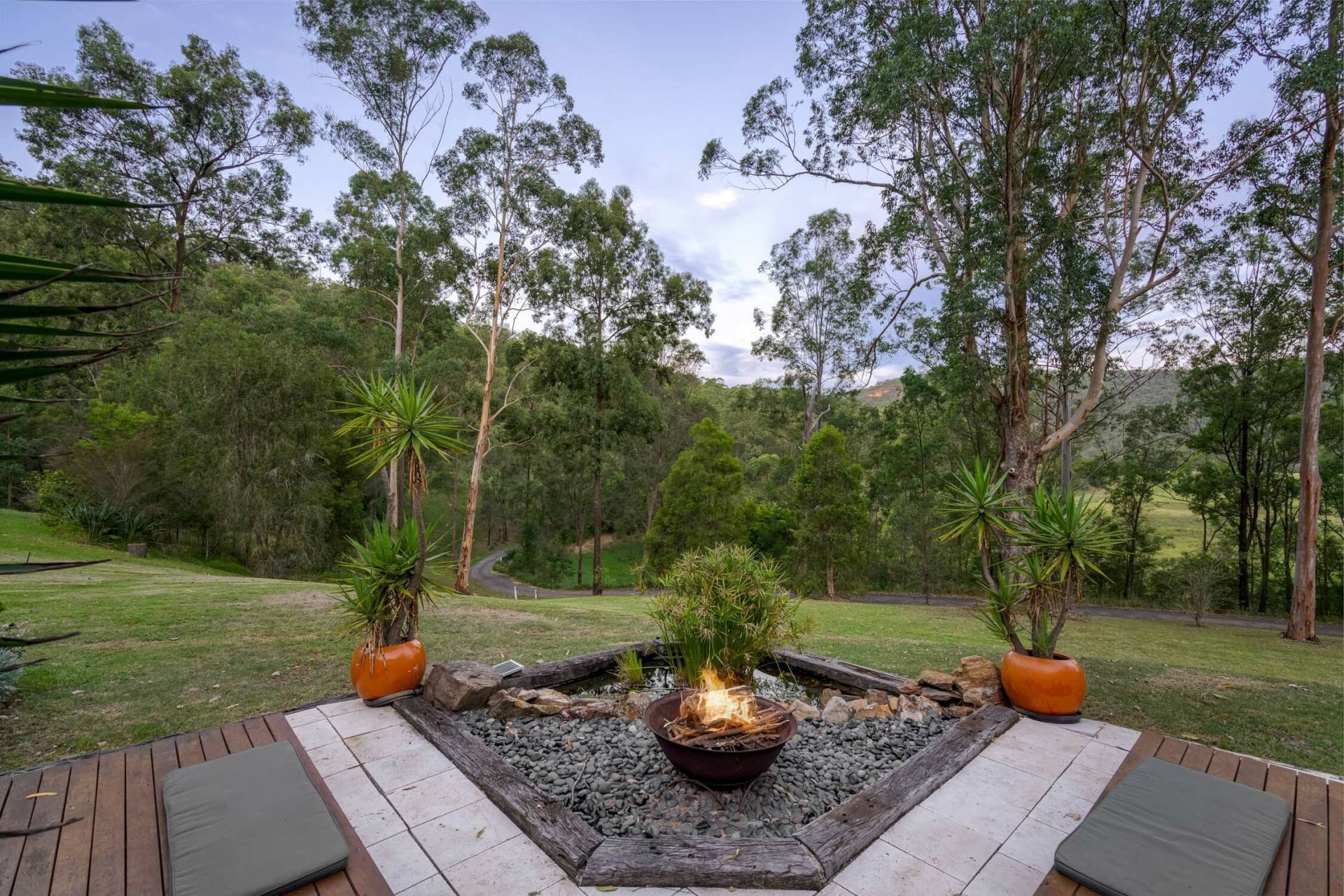 View of a backyard with a small fire pit surrounded by potted plants, including two large potted trees, under a clear sky with lush green trees in the background.