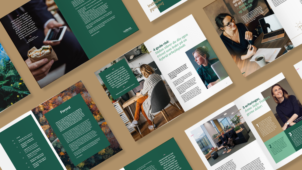 Brochure design  - Lederne