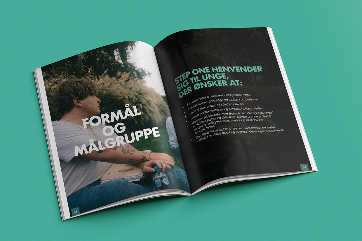 Design og layout af bog - Helsingør Kommune