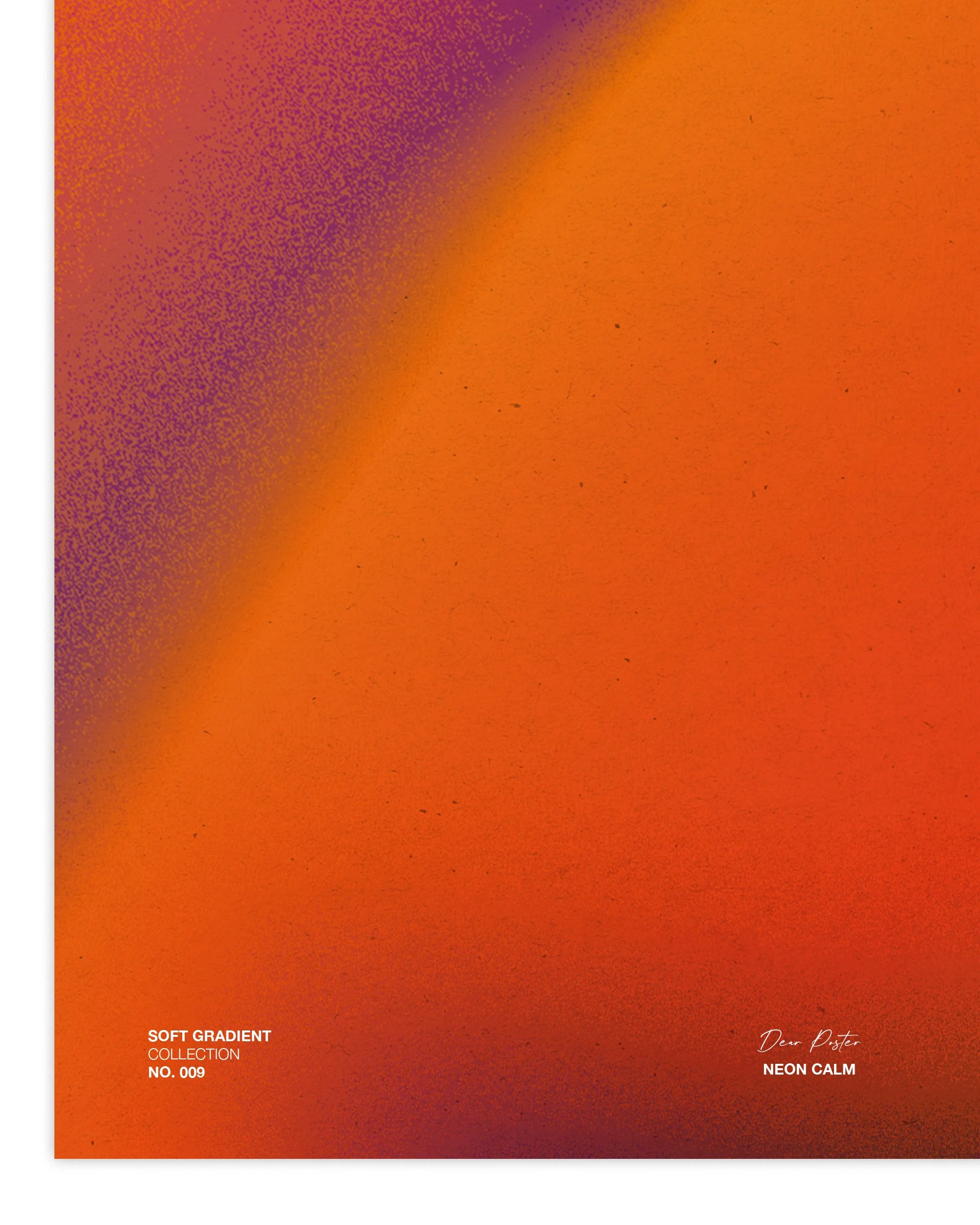 Posters-Packshots-Closeup-Neon-Calm.jpg