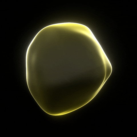 Motion graphics animation