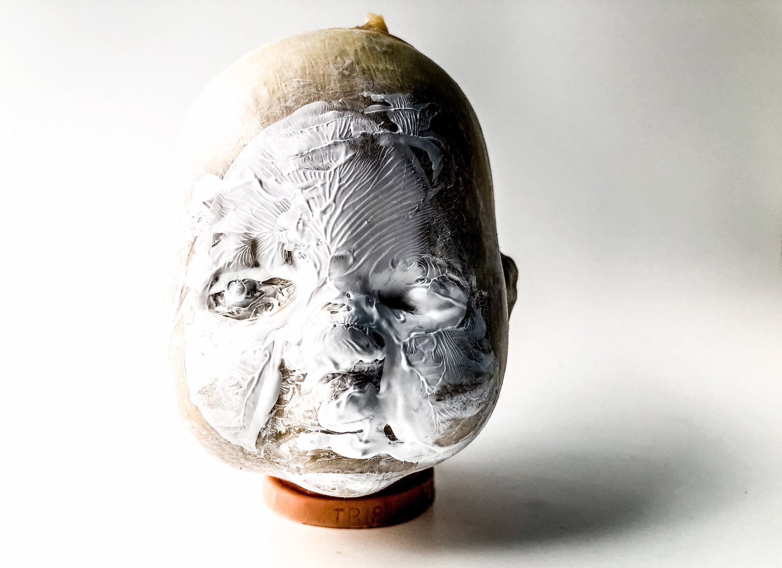 Altered identity.  2021 Archival print.