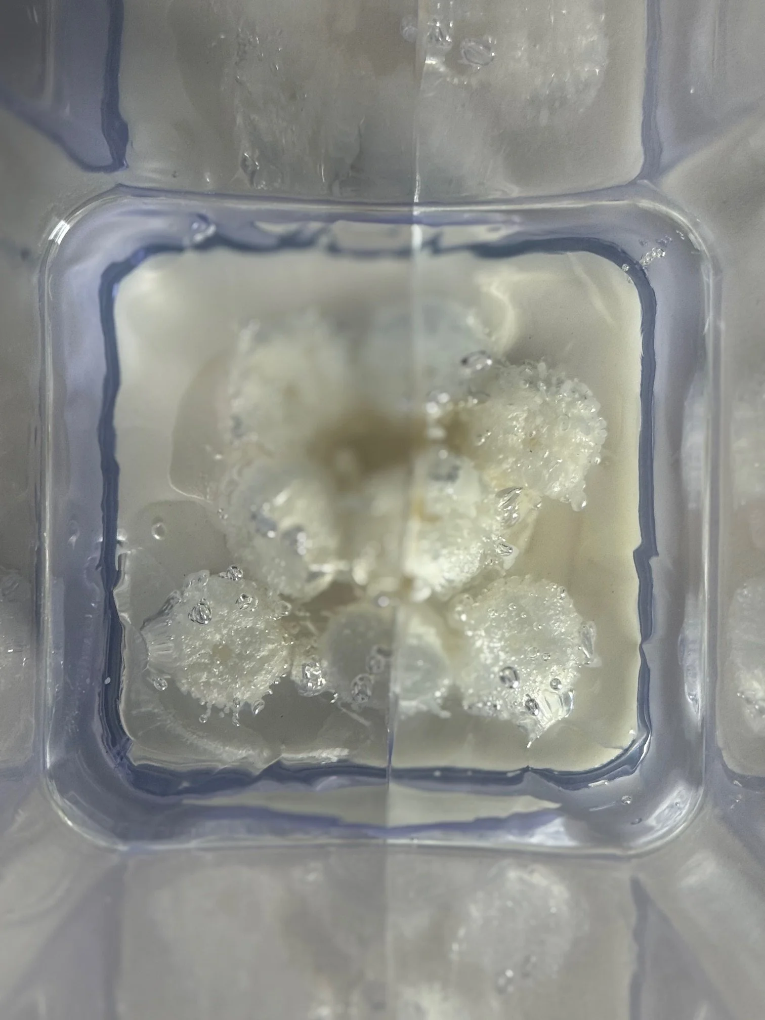 Observer effect.  My Energy.
2025.
Recycled packing material, wax, Resin, PVC container.