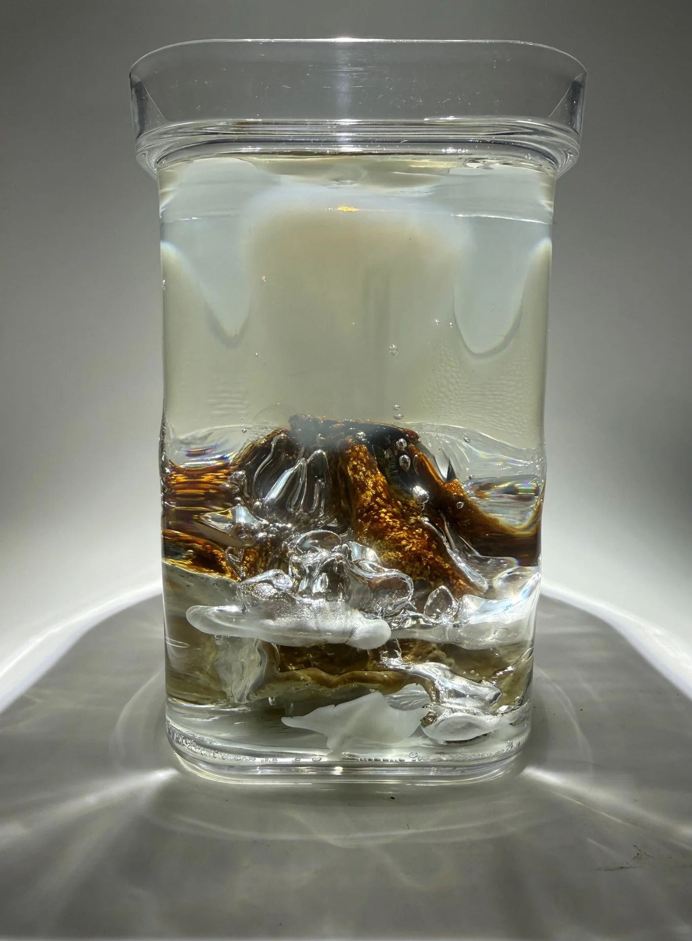Sourdough Yeast.
2026.
sourdough starter, unfired porcelain, resin.