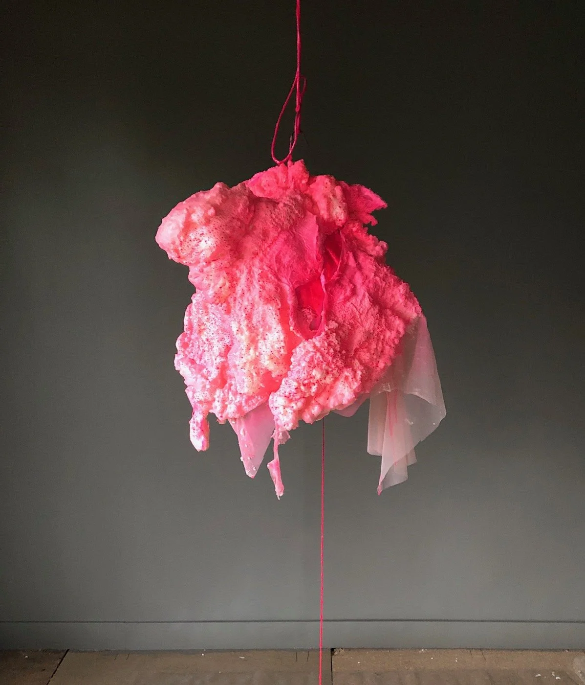 Visceral colour.  2022.  Expanding foam, resin, pigment, leather, tulle, baling twine, silicone rubber.  60 x 75 x 100cm.  