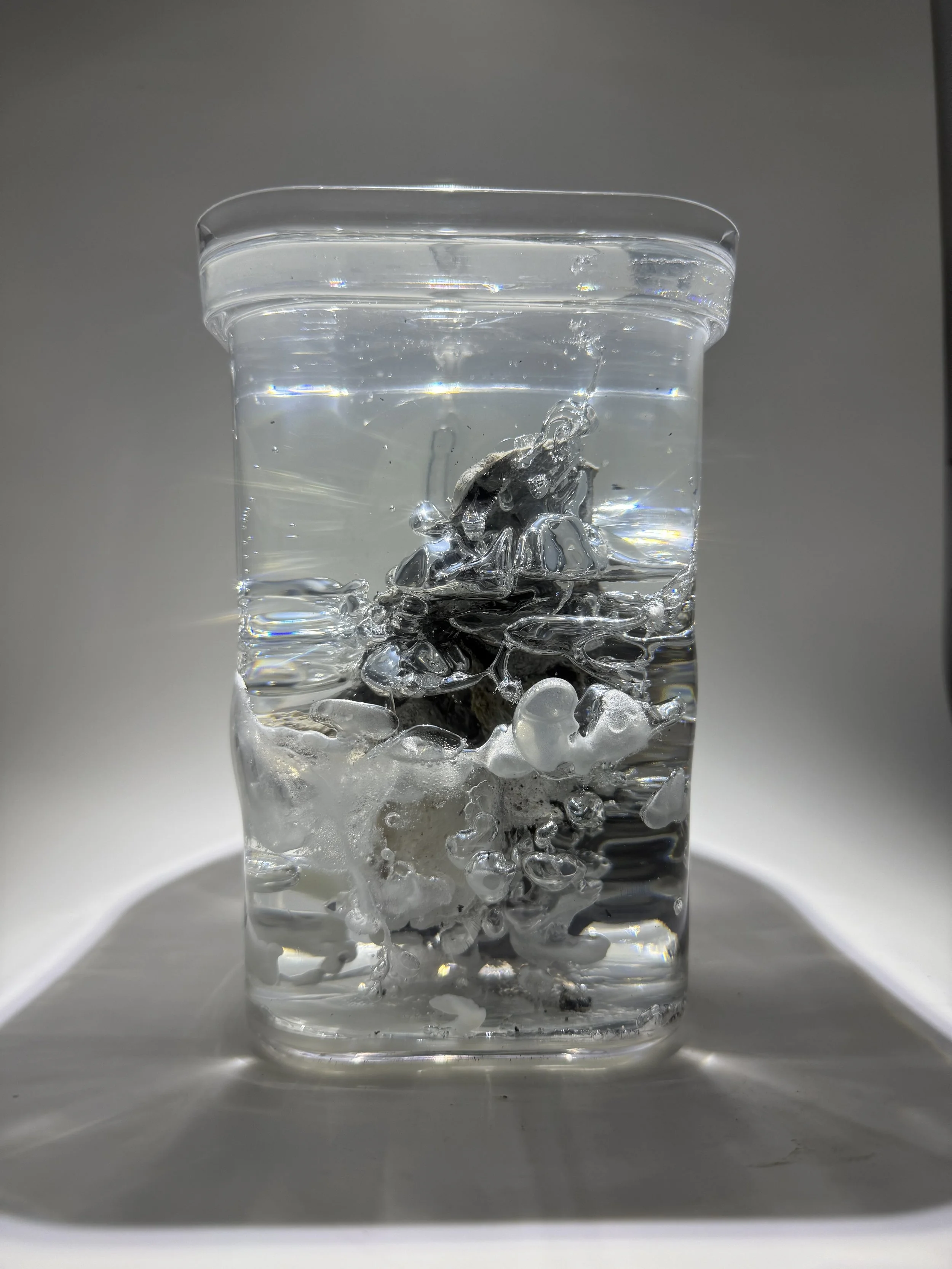 Cultured Yeast.
2026.
Cultured yeast, unfired porcelain, resin.
