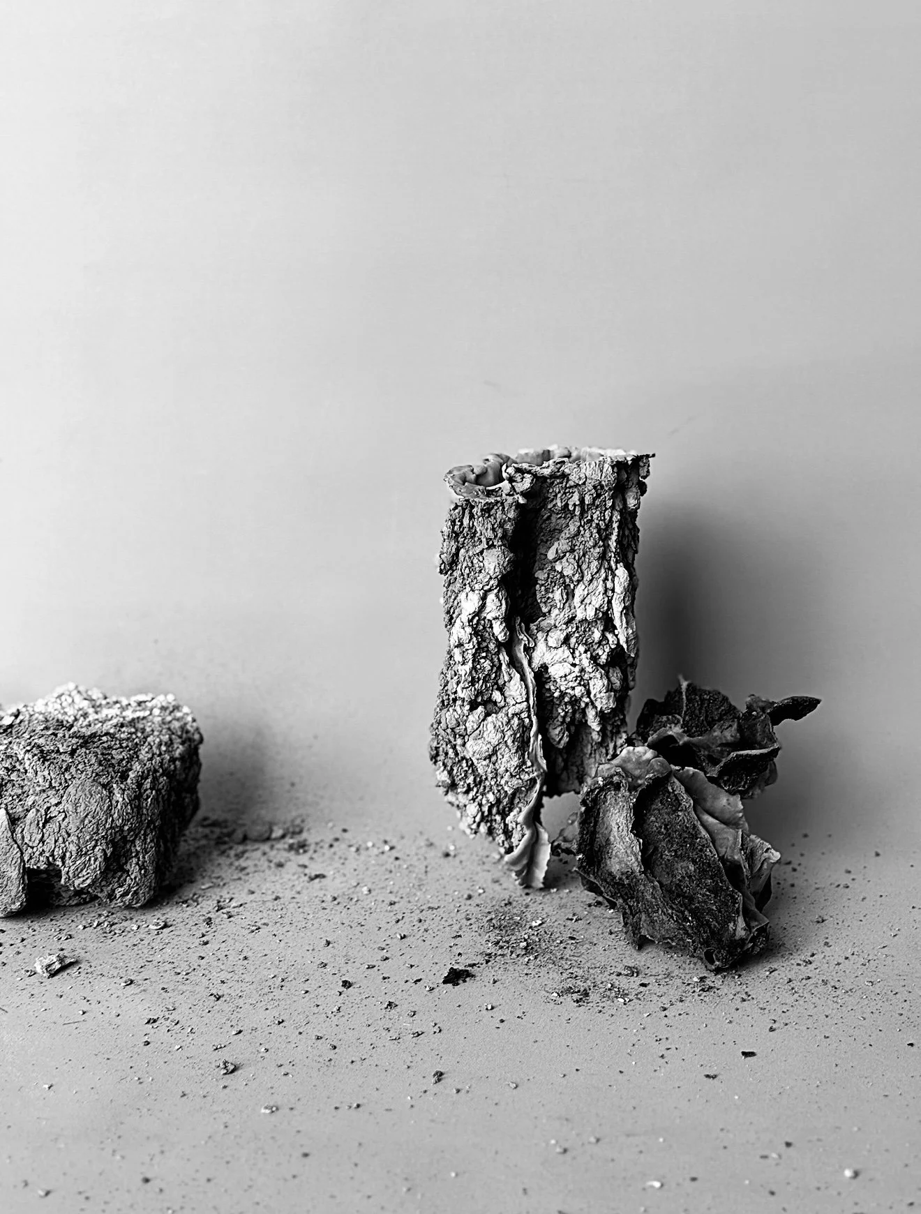 Dead Bread. 
2025.
Still image.  