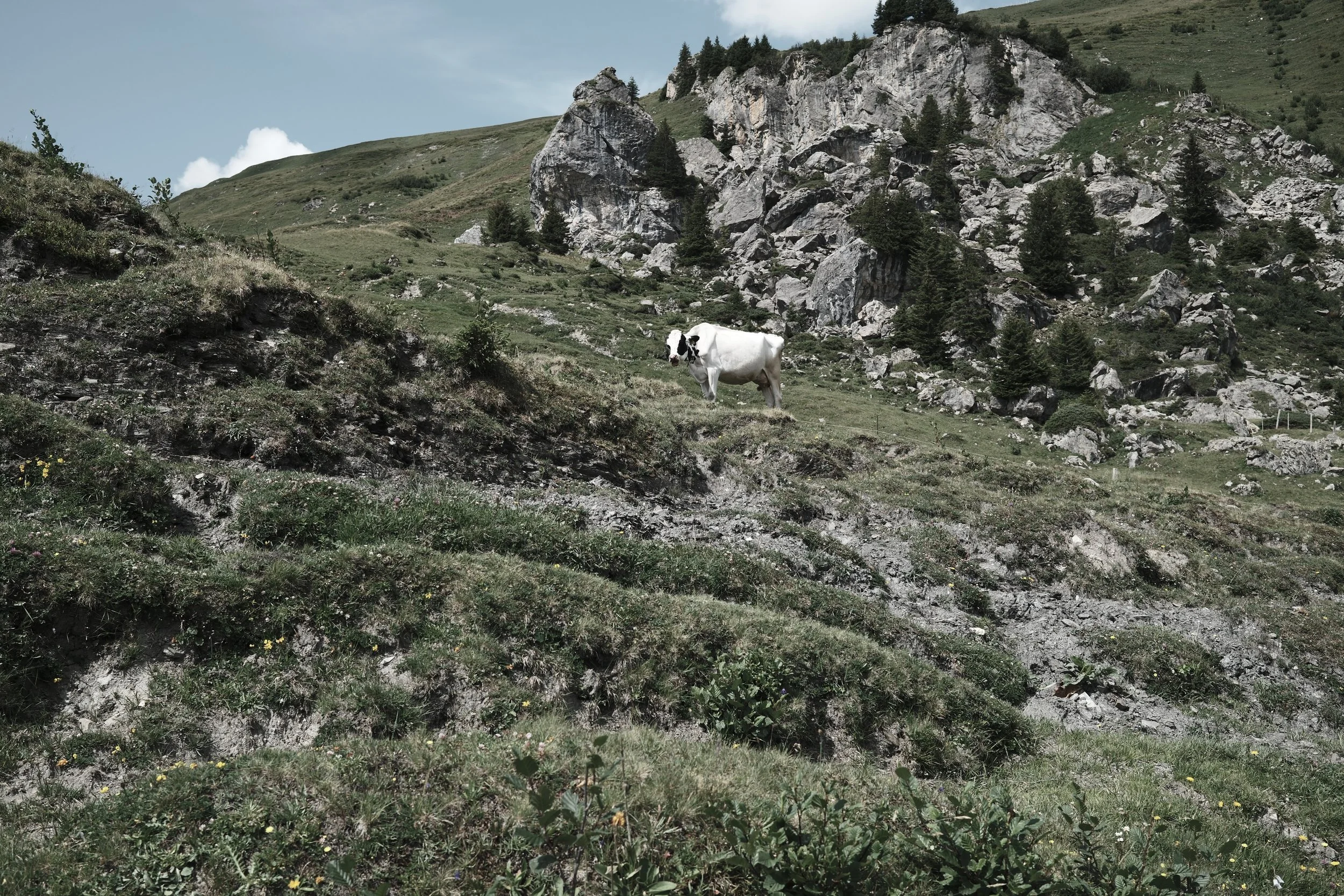 Why Gstaad Is Only Part of the Story