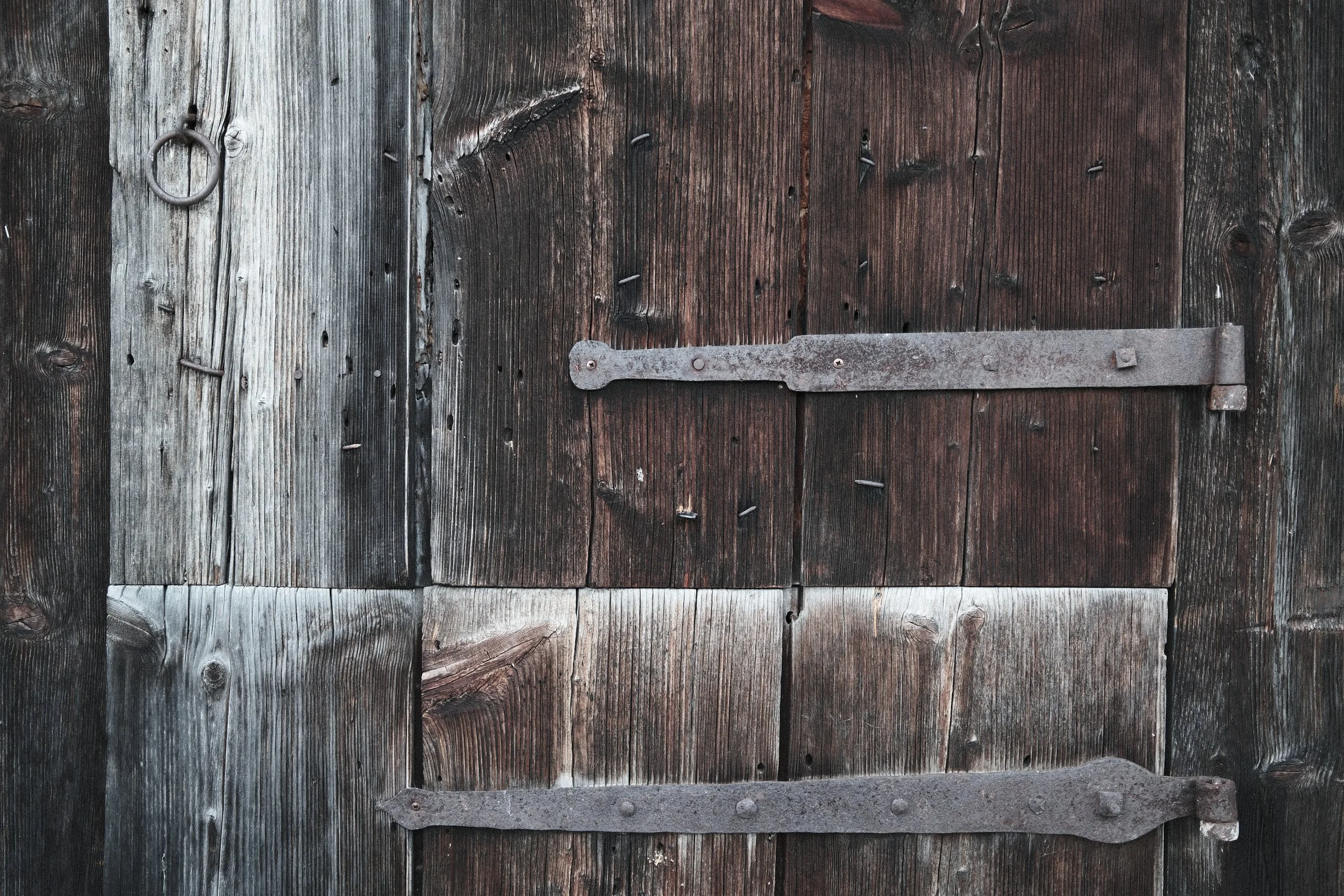 The Colour of Wood