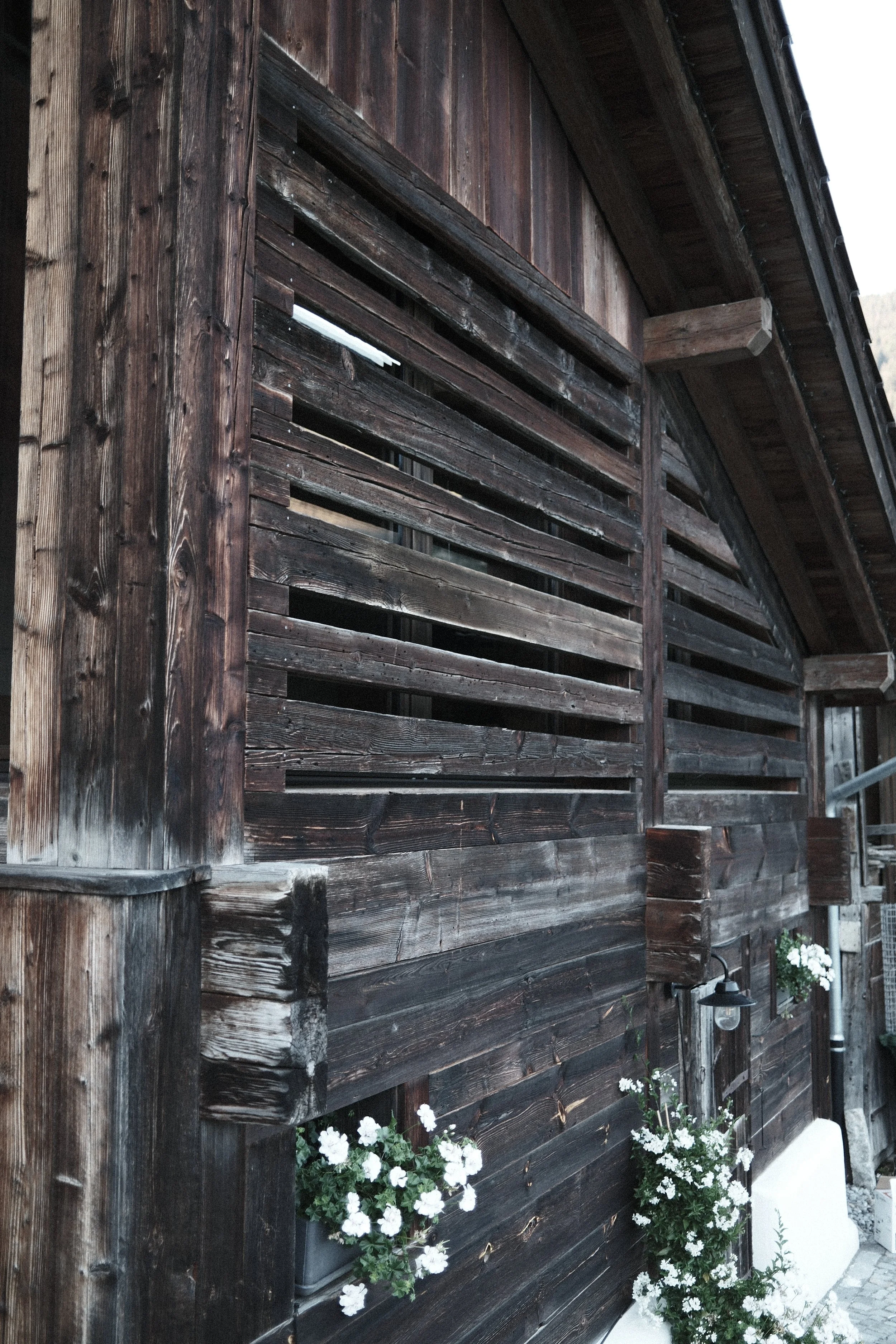 Close-up of a wooden building with dark stained logs and a rounded roof. Plants with white flowers are at the base of the wall and a black outdoor lantern is mounted on the wall.