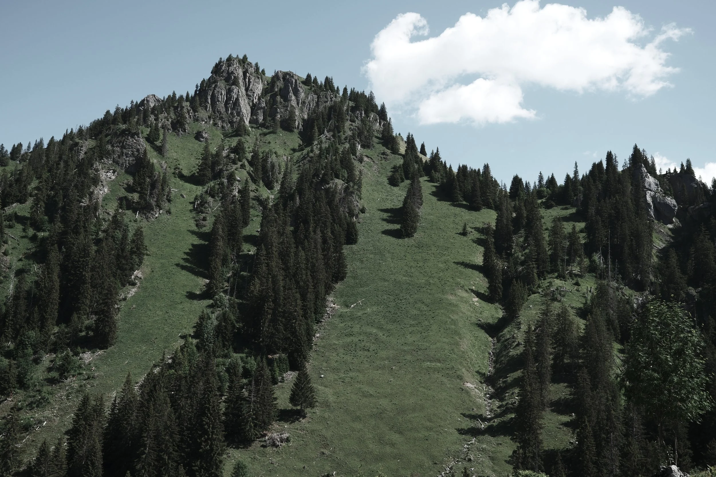 Forested alpine mountains in the Bernese Oberland near Haus Mannenberg, where the Simmental, Saanenland and Pays-d’Enhaut landscapes meet.