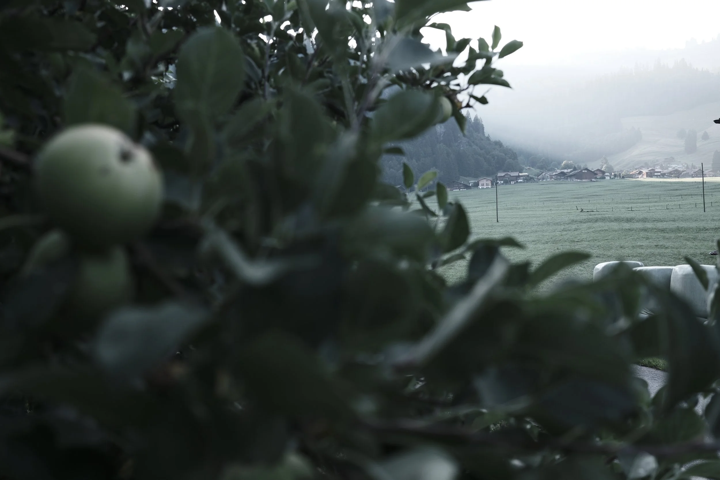 View from the Morning Room at Haus Mannenberg overlooking the garden and surrounding Bernese Oberland landscape.