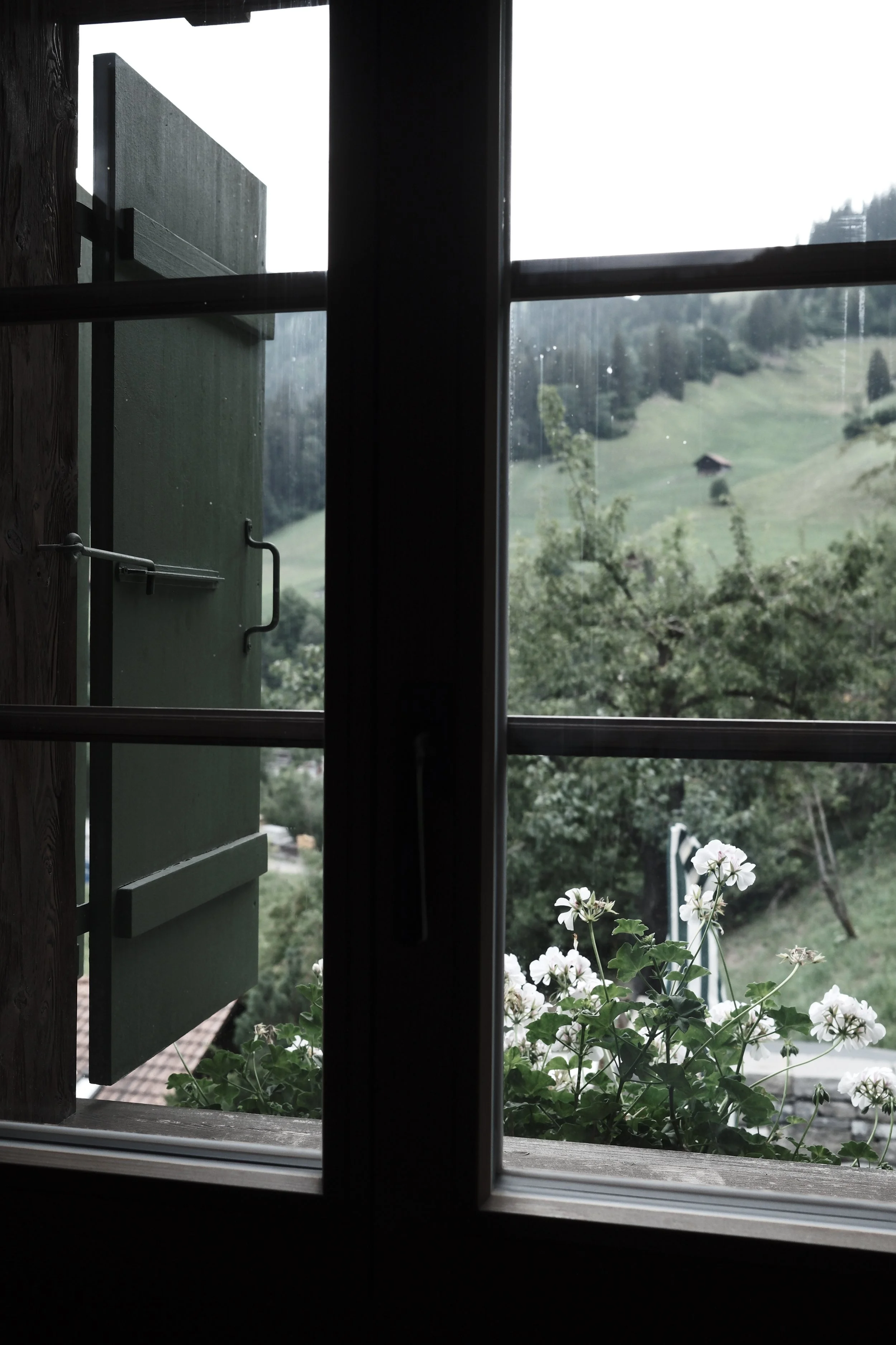 View of green hills, trees, and small buildings through a window with open shutters and a window screen, with white flowers in the foreground.
