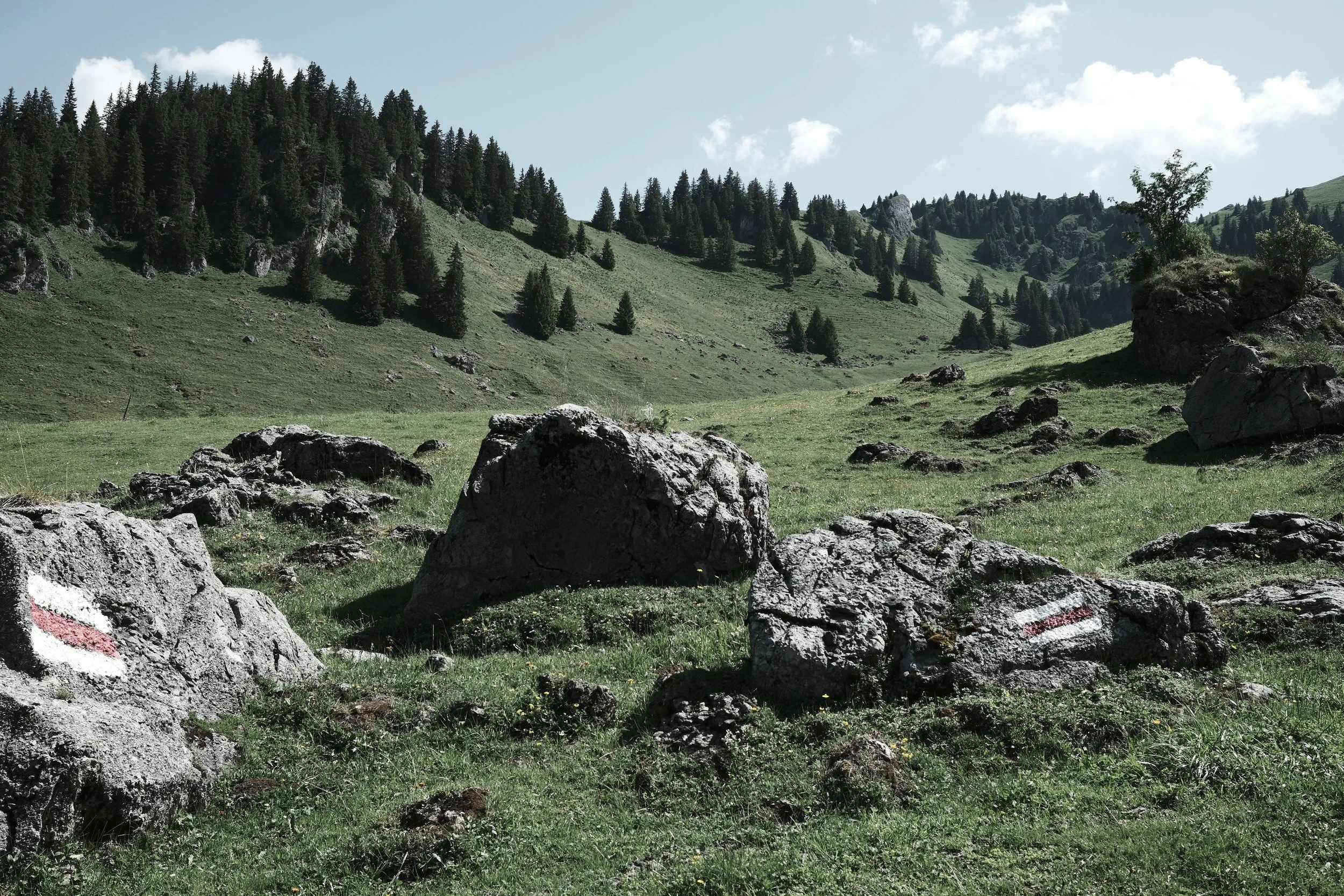 Green grassy mountain valley with scattered rocks and trees under a partly cloudy sky.