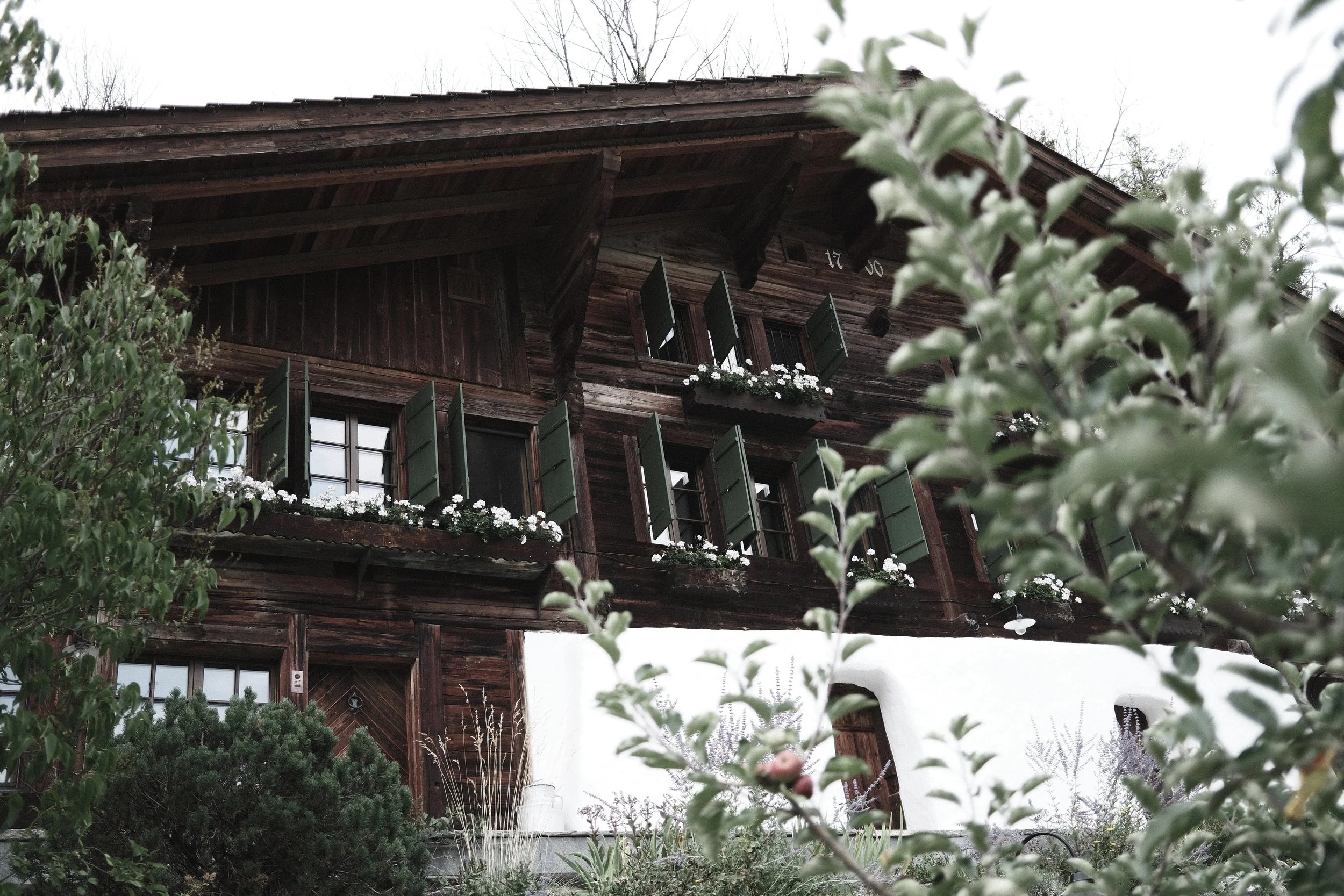 A rustic wooden house with green shutters and flower boxes, surrounded by trees and plants on an overcast day.