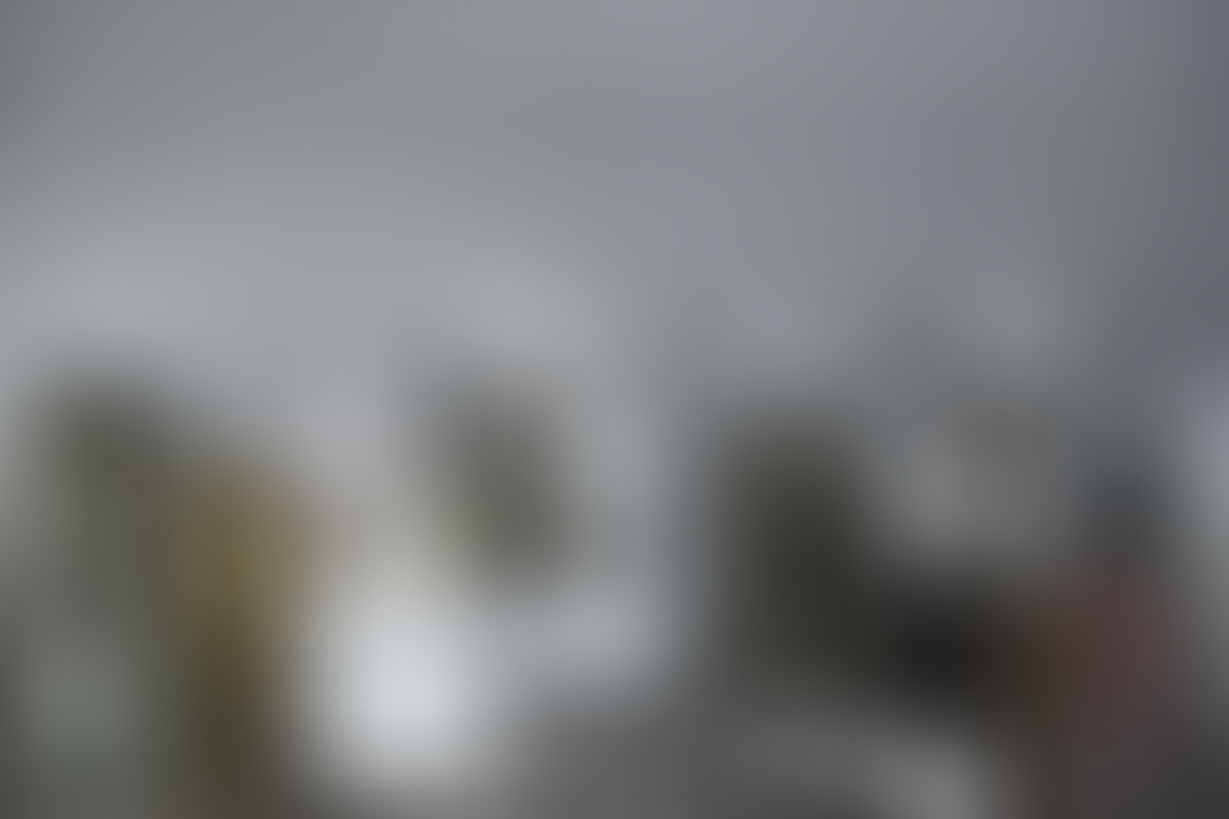A blurred gray background with indistinct shapes.