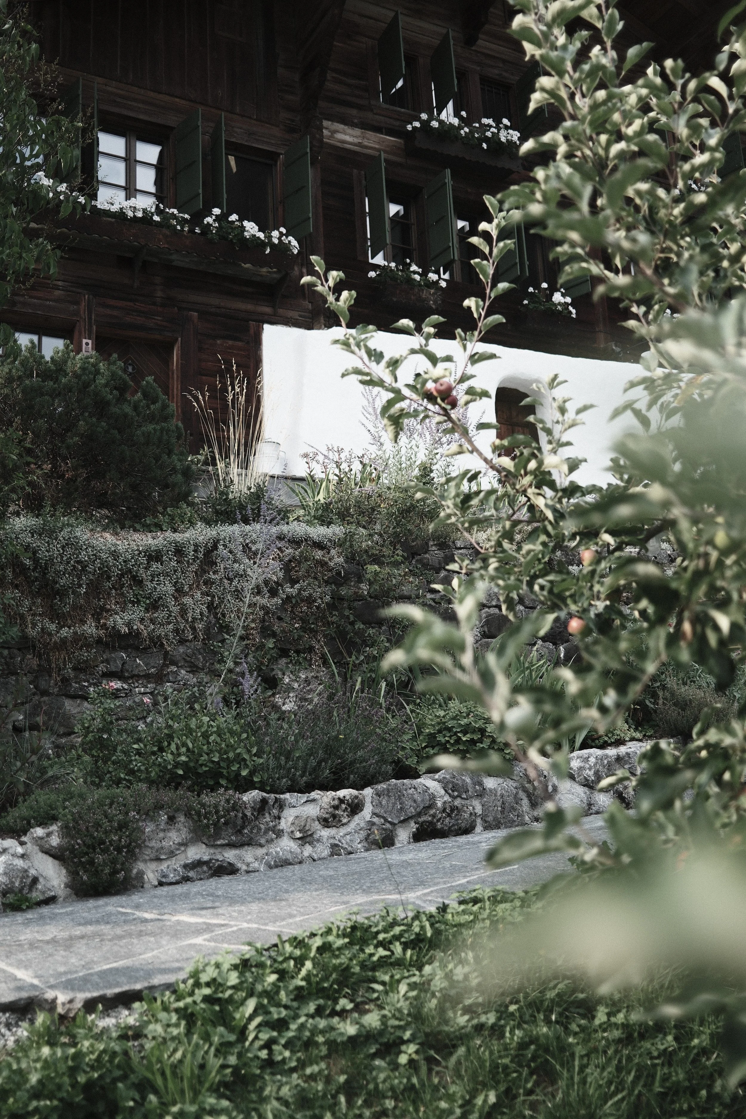 A view of a rustic house with wooden exterior and green window shutters, surrounded by lush garden plants and a stone pathway.