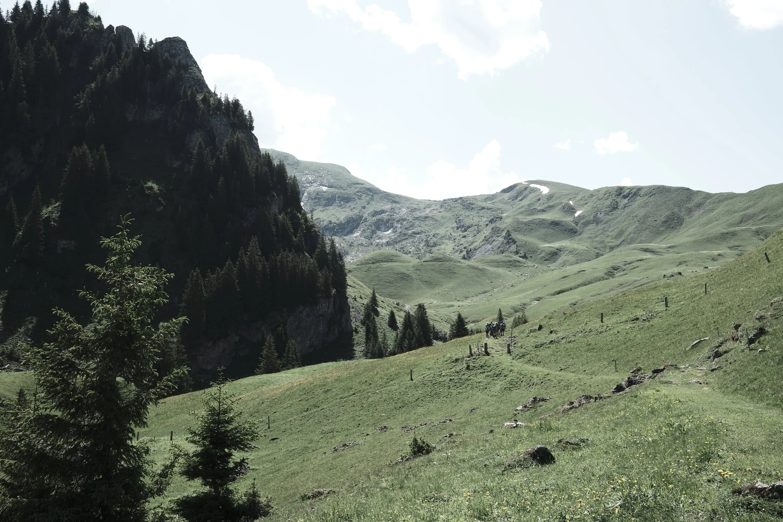 Alpine valley in the Bernese Oberland near Zweisimmen, with rolling meadows, forested slopes and mountain peaks shaped by glaciers and rivers.