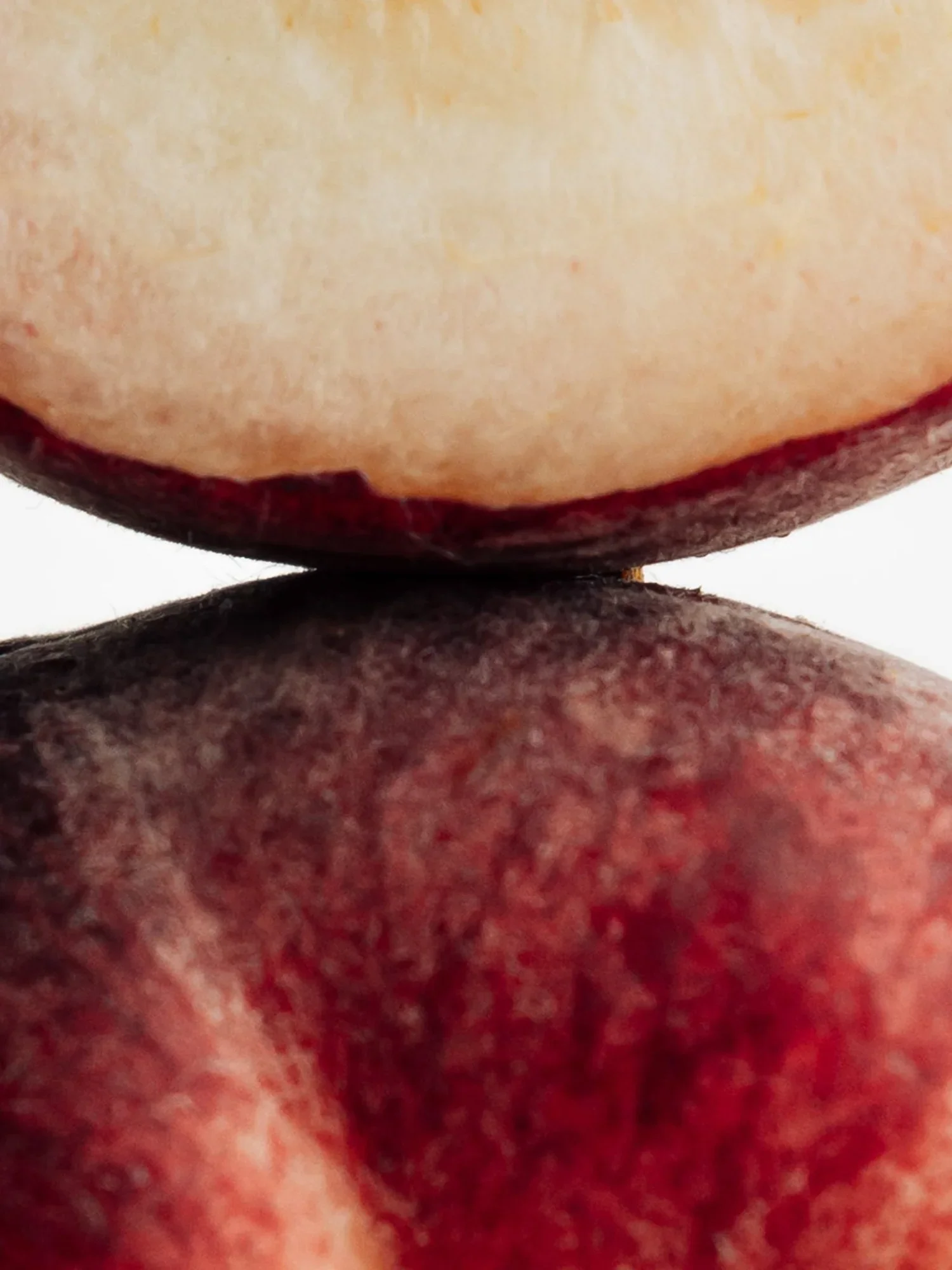 peach.jpg.webp