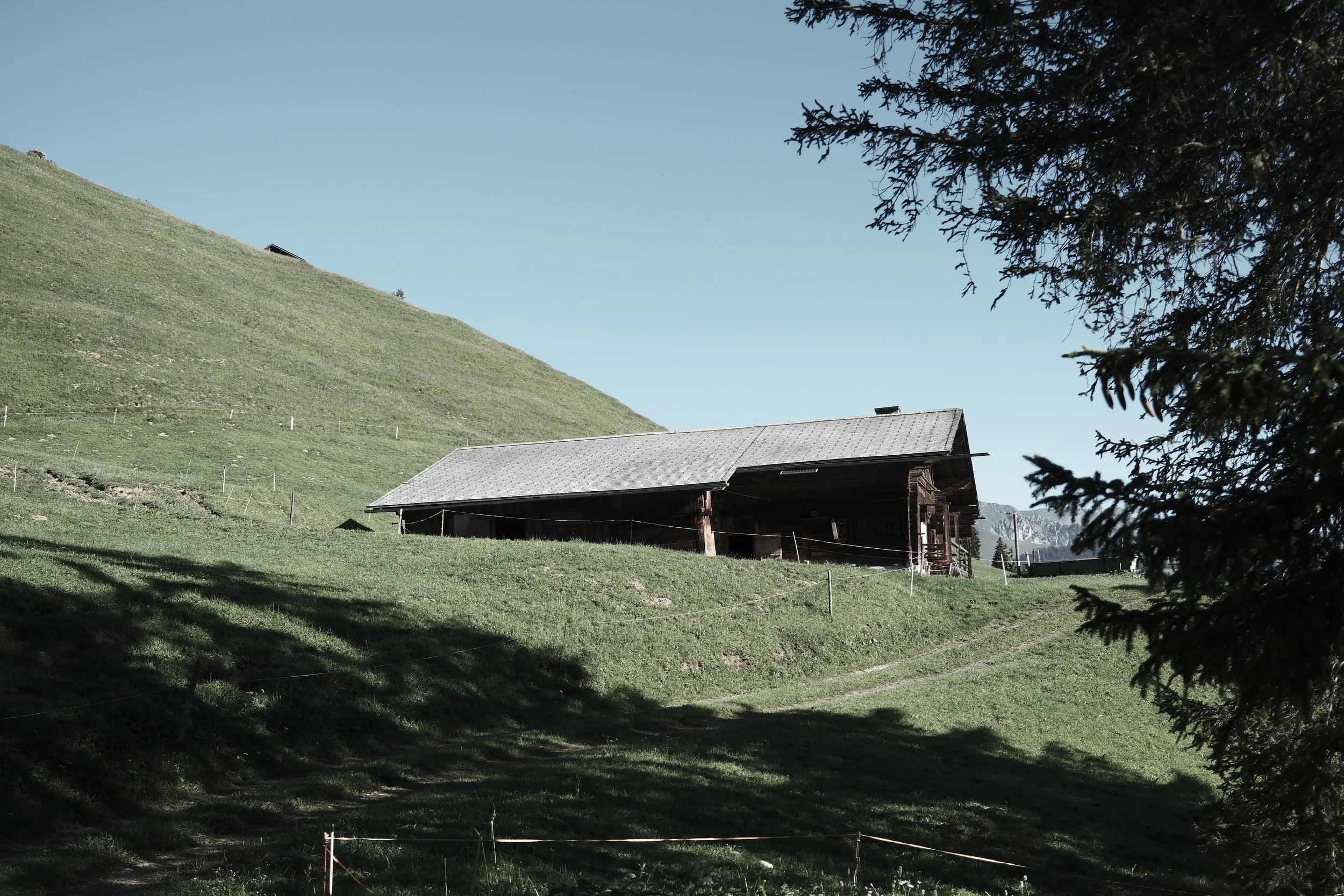 A grassy hillside with a single small building and a large tree in the foreground, under a clear blue sky.