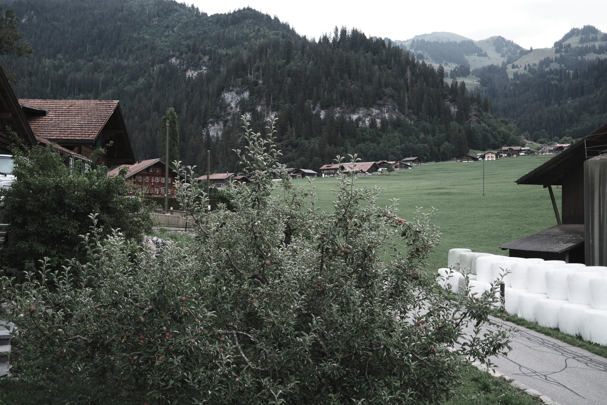 View from Haus Mannenberg across Mannried towards the surrounding Bernese Oberland mountains, just outside Zweisimmen.