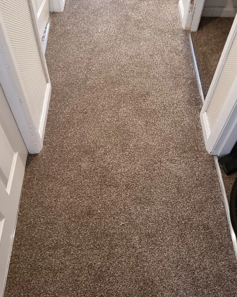 View of a narrow hallway with beige carpet and white doors on each side.