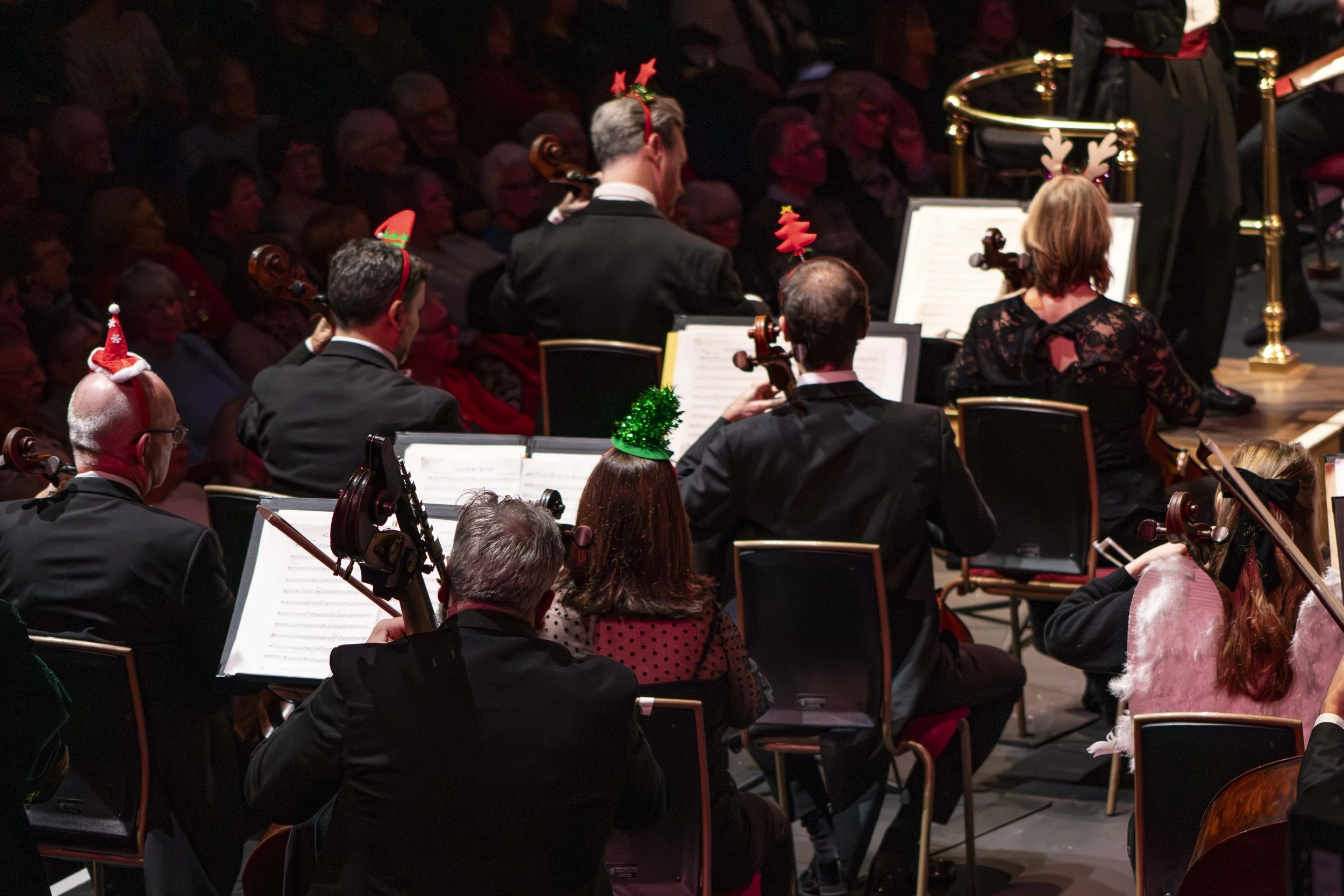 Philharmonic orchestra (31).jpg