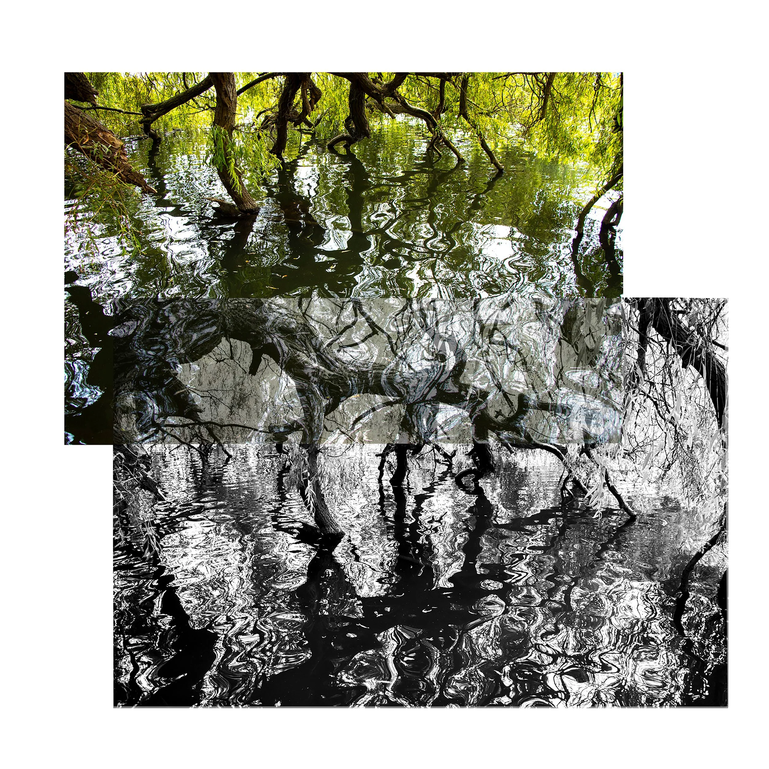 Untitled-1.jpg