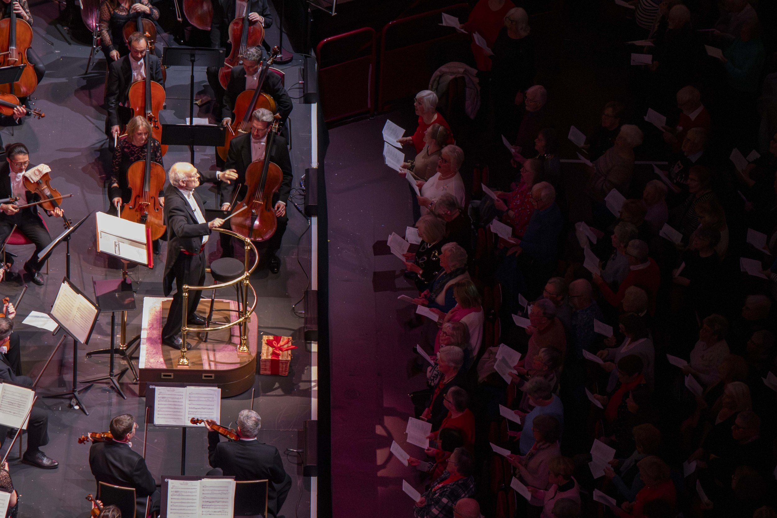 Philharmonic orchestra (1).jpg
