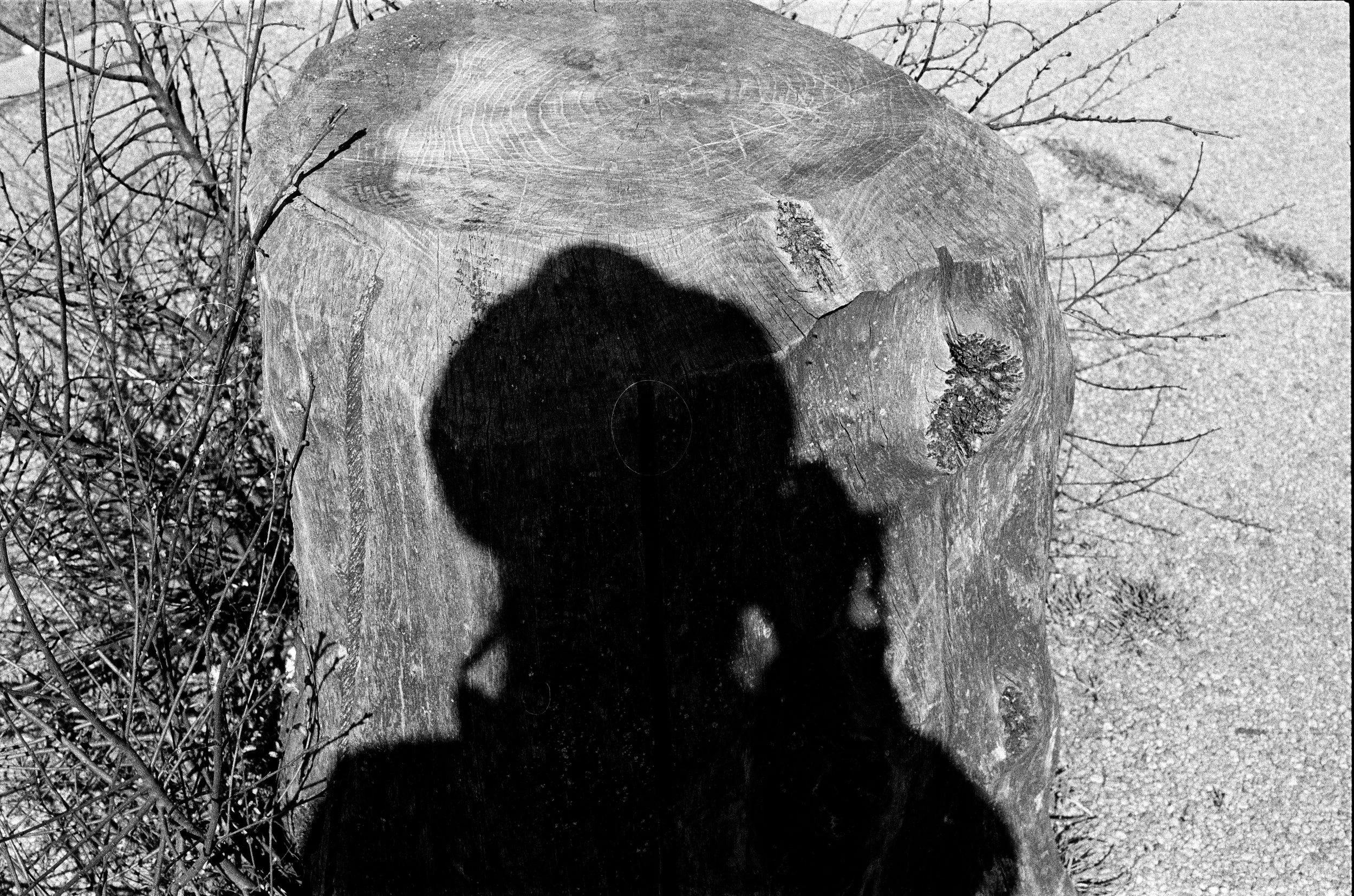 Self Portrait 15.jpg