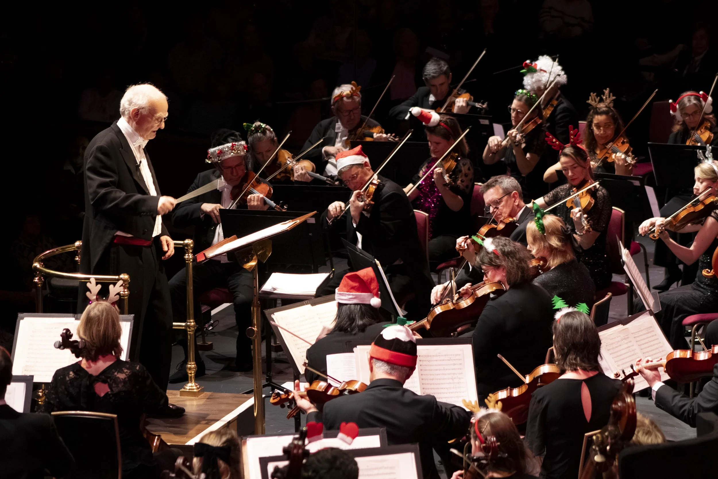 Philharmonic orchestra (32).jpg