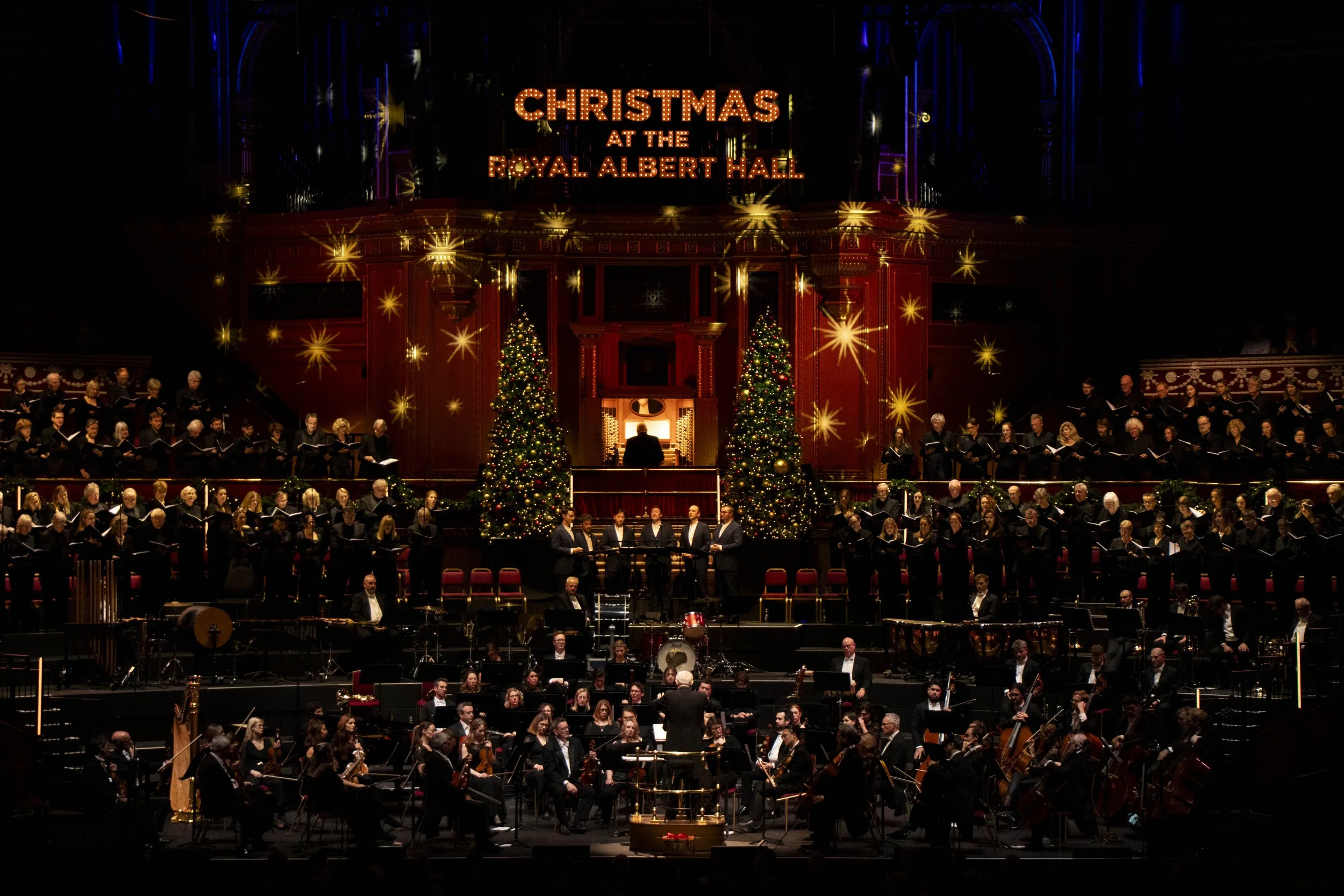 Philharmonic orchestra (19).jpg