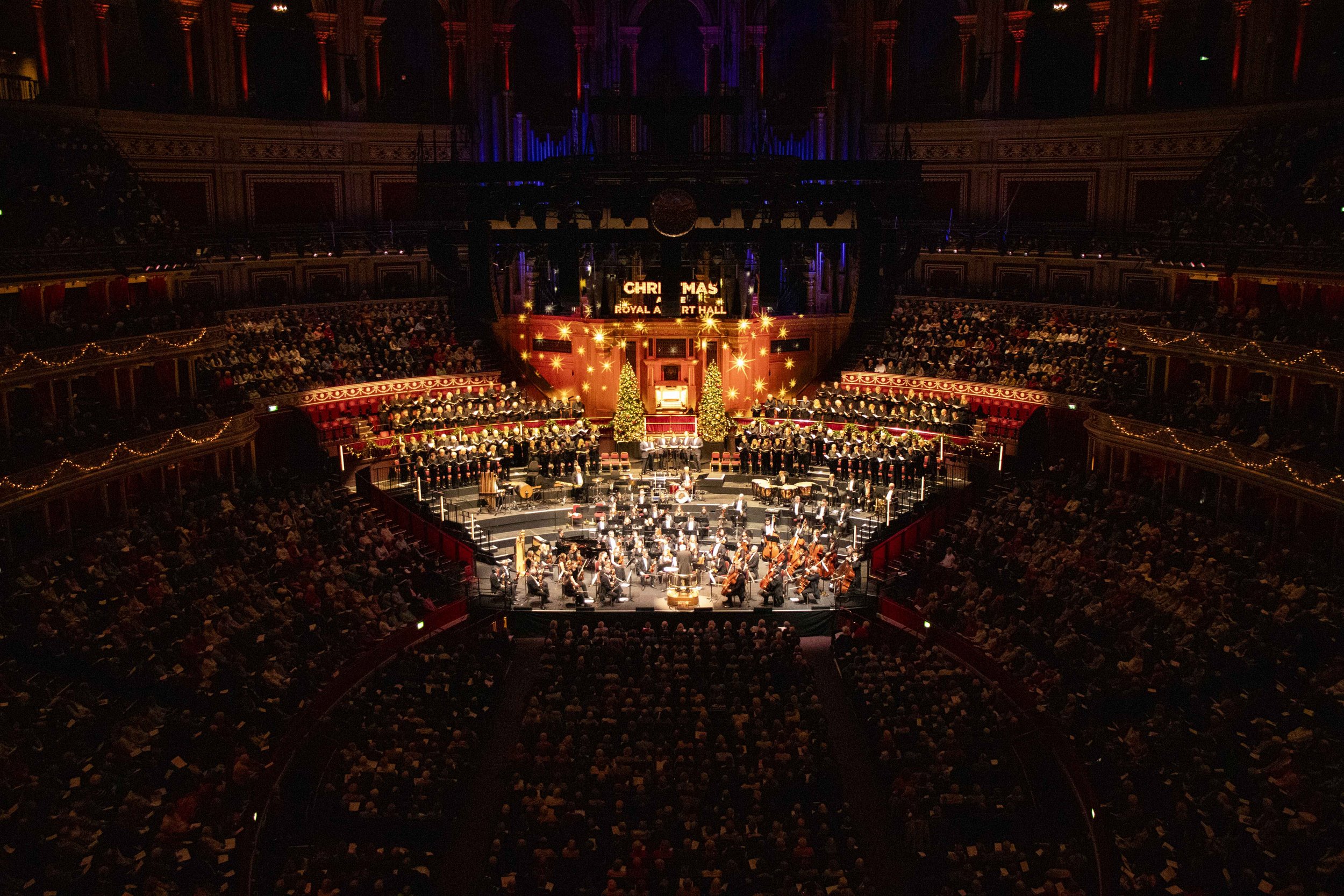 Philharmonic orchestra (20).jpg