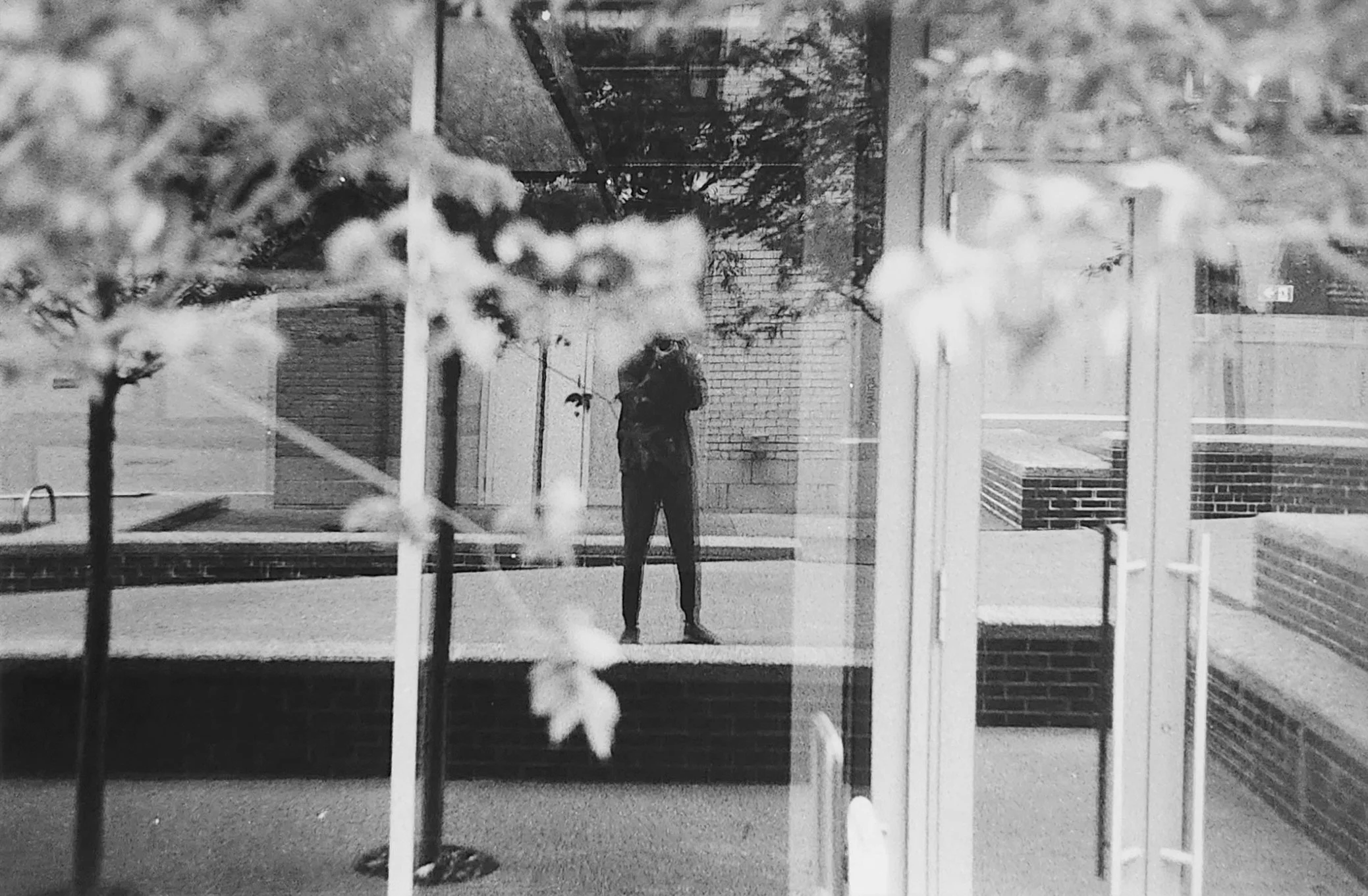 Self Portrait 12.jpg