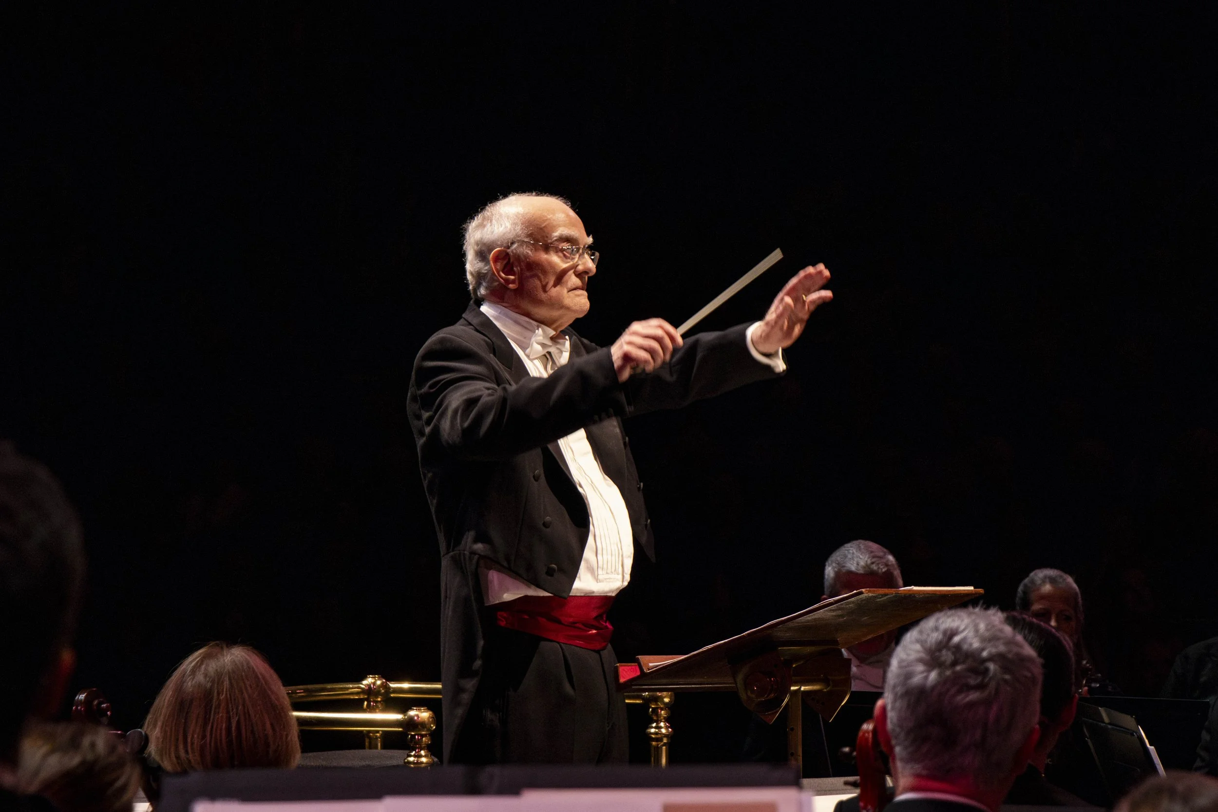 Philharmonic orchestra (15).jpg