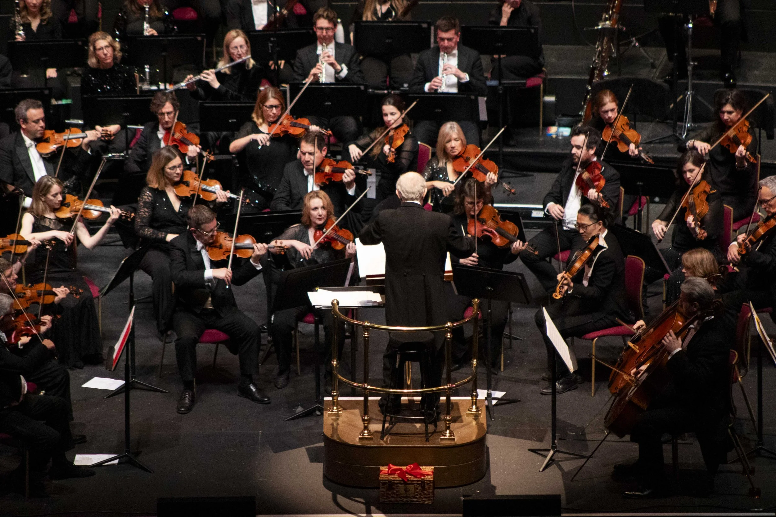 Philharmonic orchestra (22).jpg